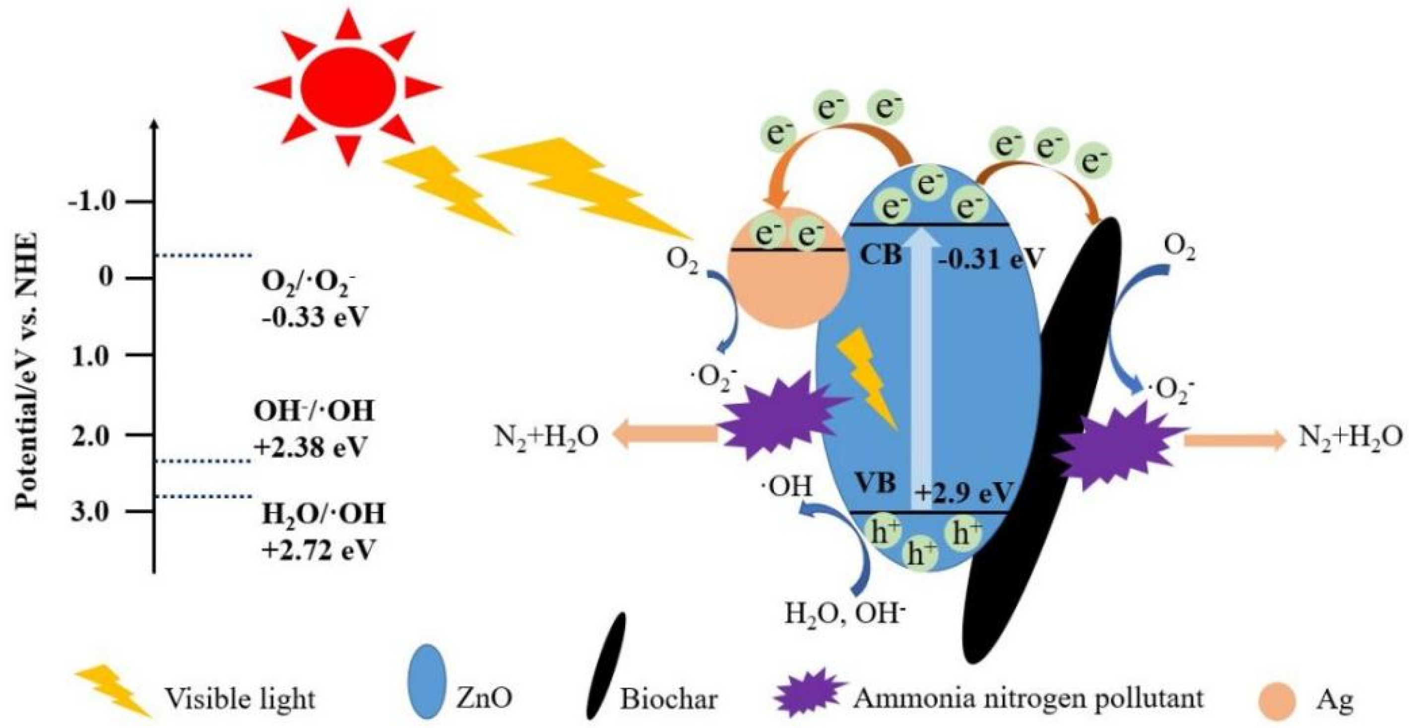 Coatings 13 02043 g016