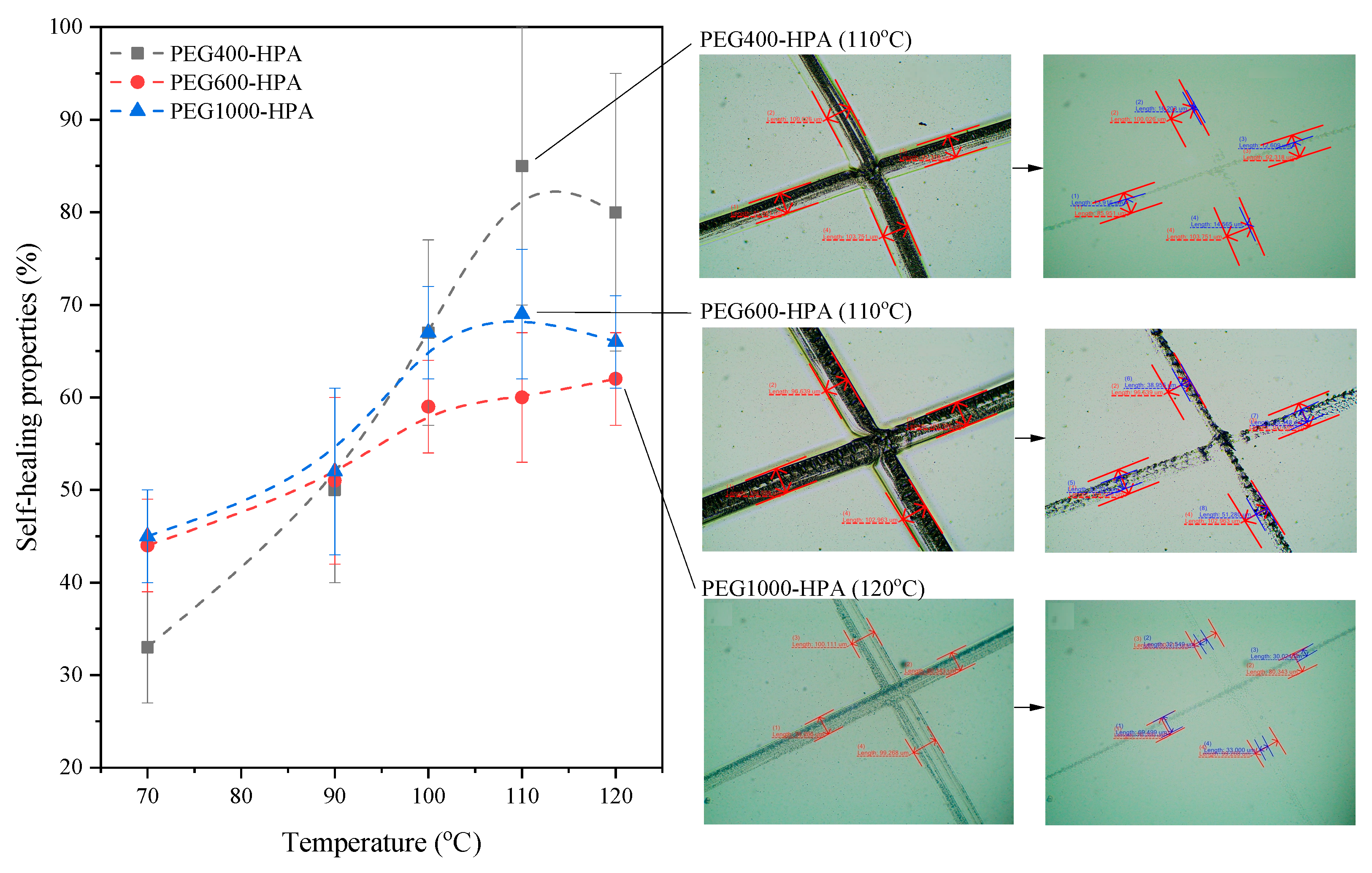 Coatings 13 02045 g006