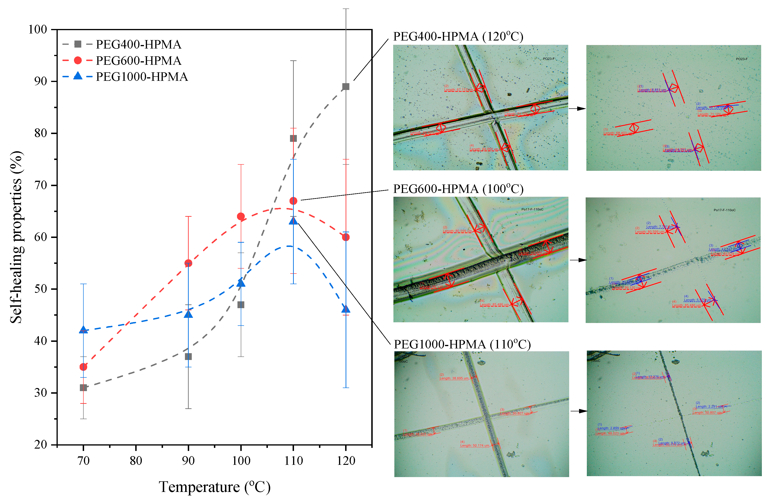 Coatings 13 02045 g007