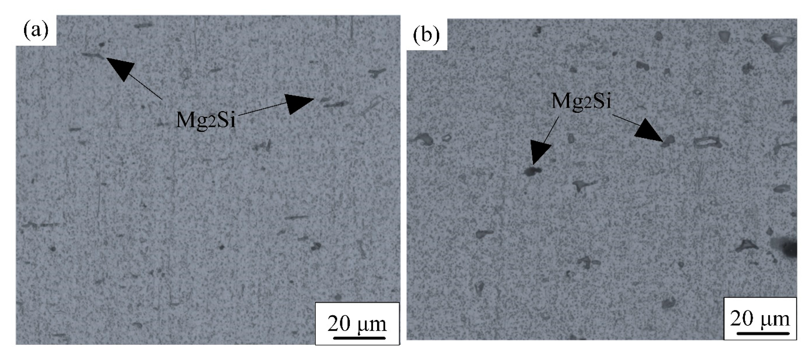 Coatings 13 02049 g007