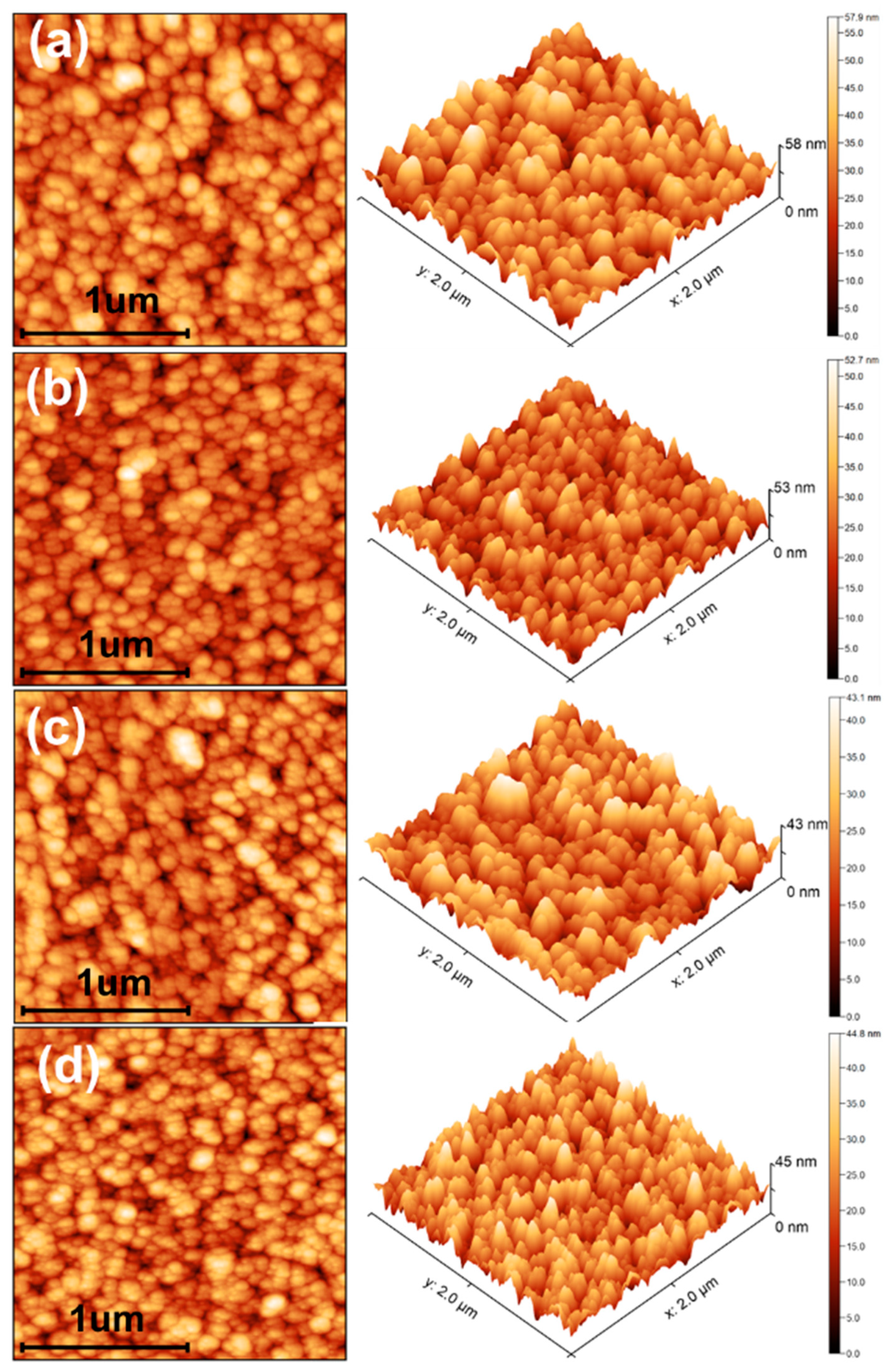 Coatings 13 02084 g006