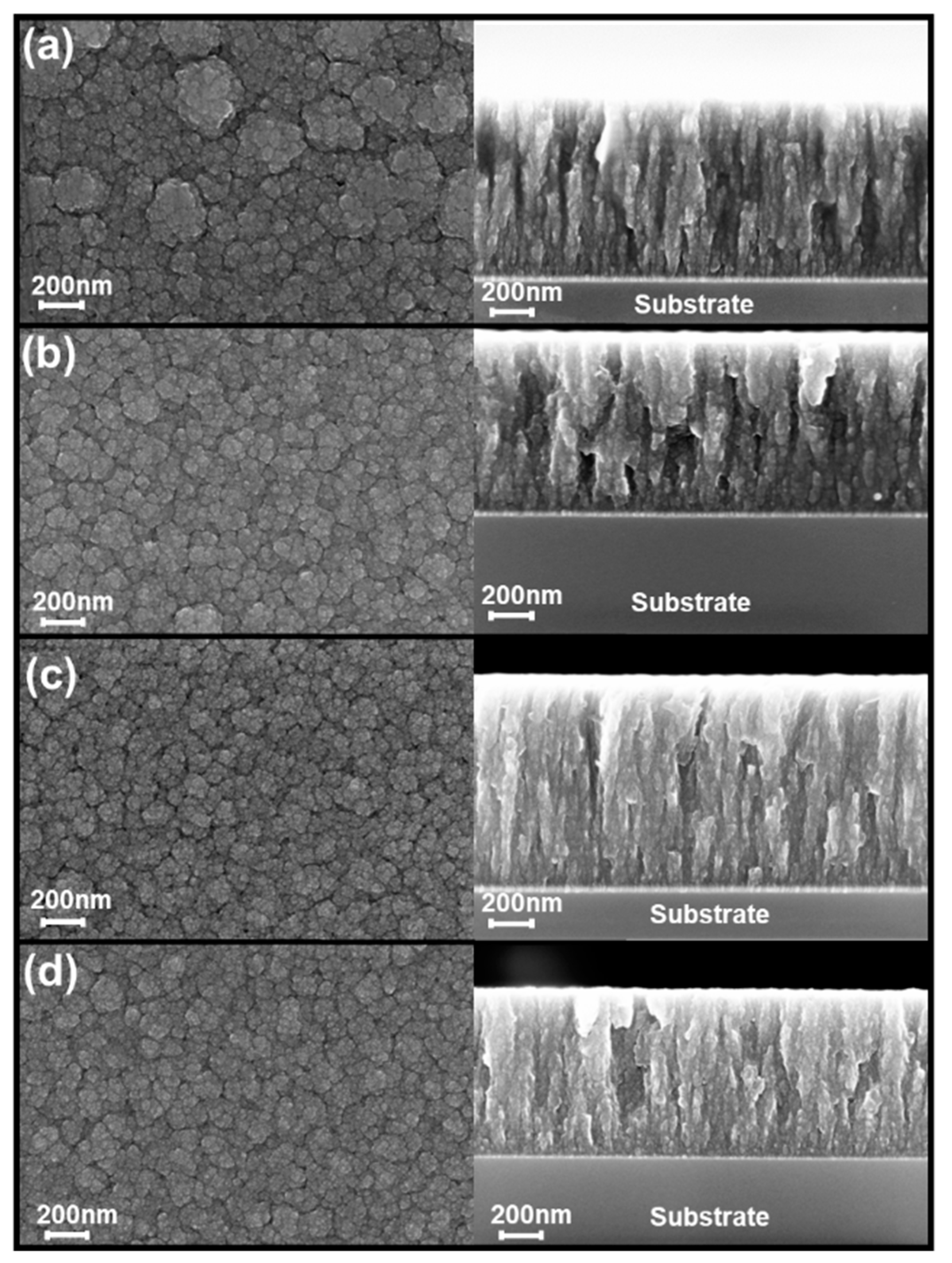 Coatings 13 02084 g007