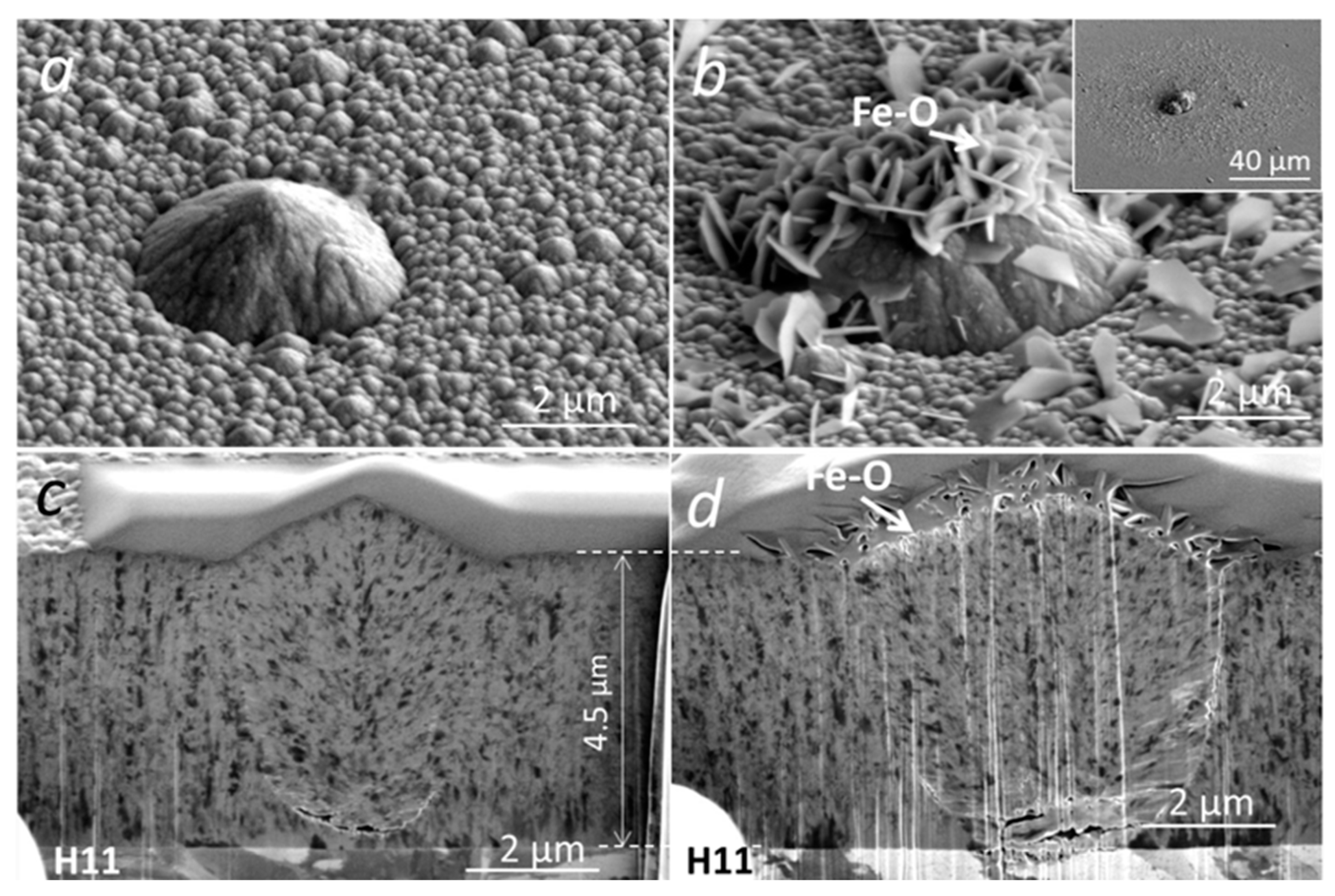 Coatings 13 02096 g013