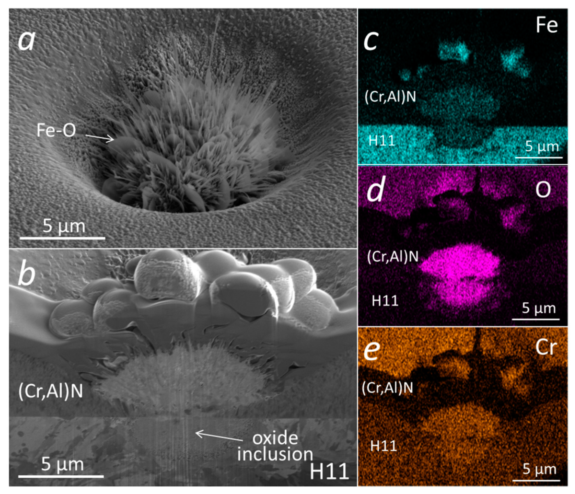 Coatings 13 02096 g014