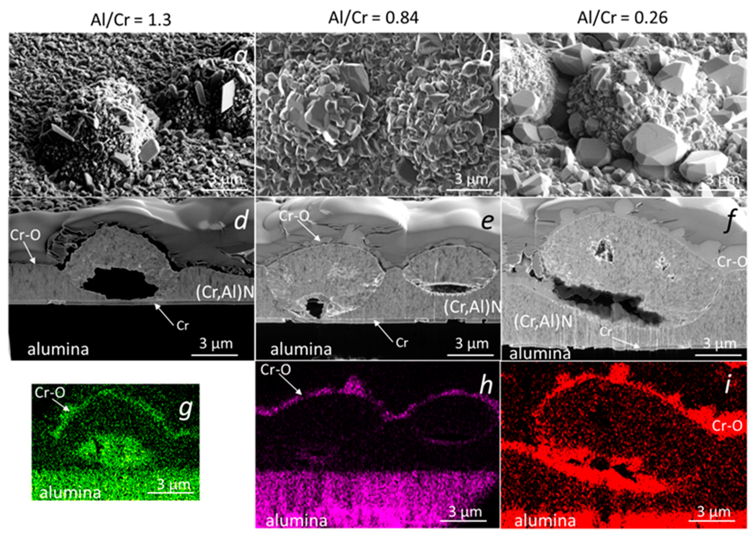 Coatings 13 02096 g018