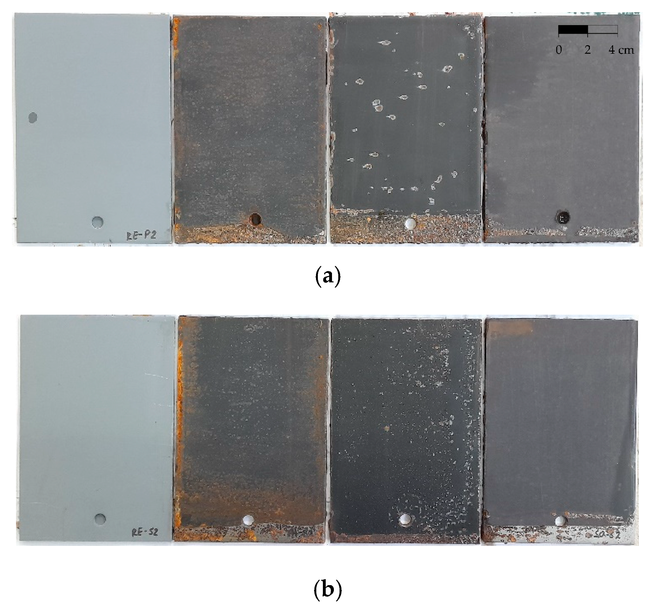 Coatings 13 02100 g005