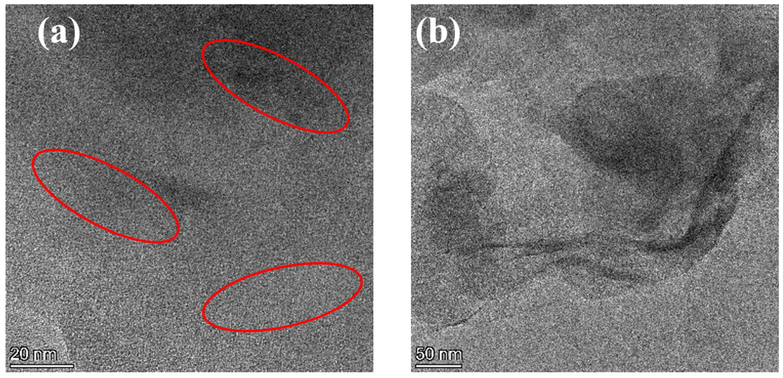 Coatings 14 00012 g007