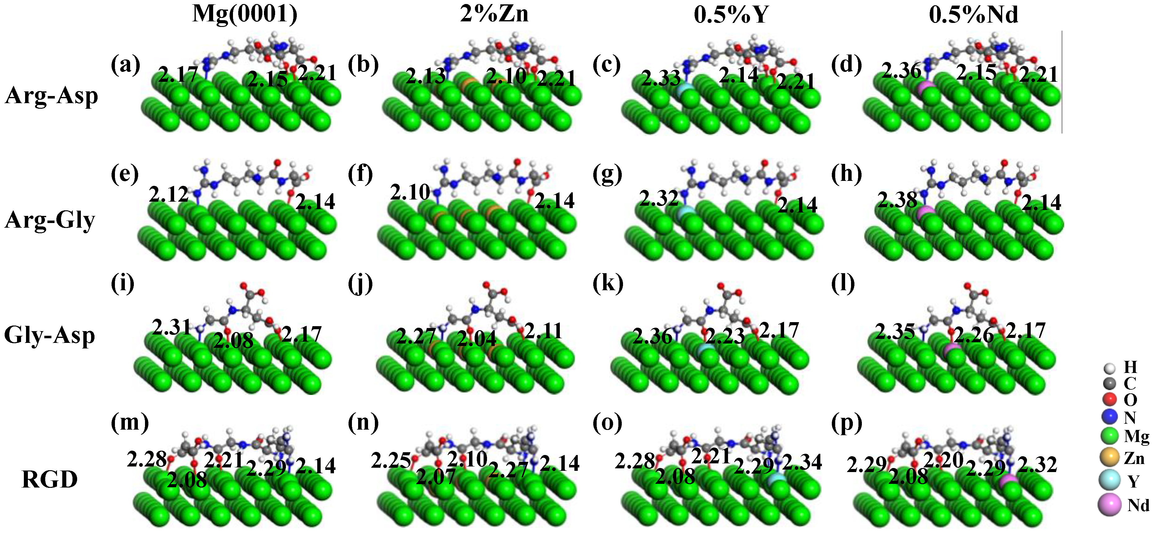 Coatings 14 00025 g006