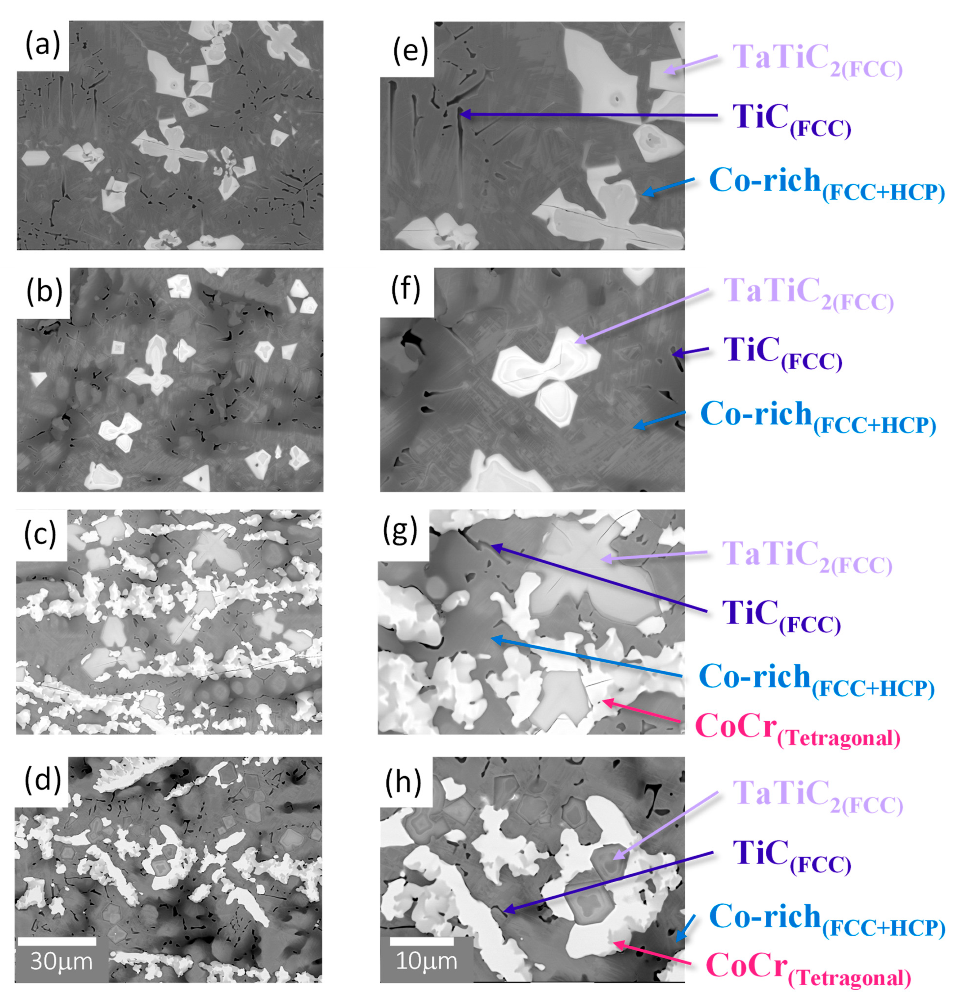Coatings 14 00026 g002