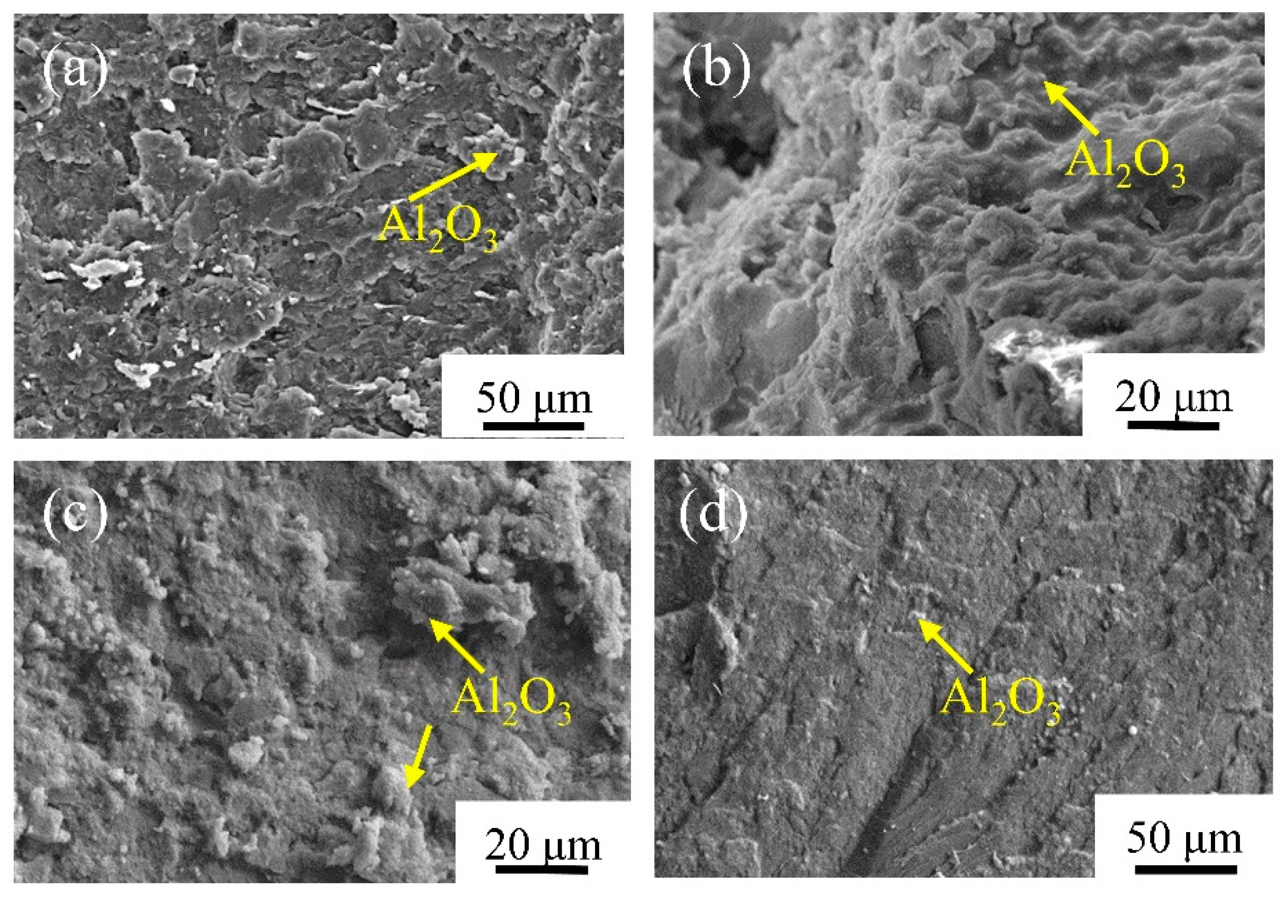 Coatings 14 00027 g007