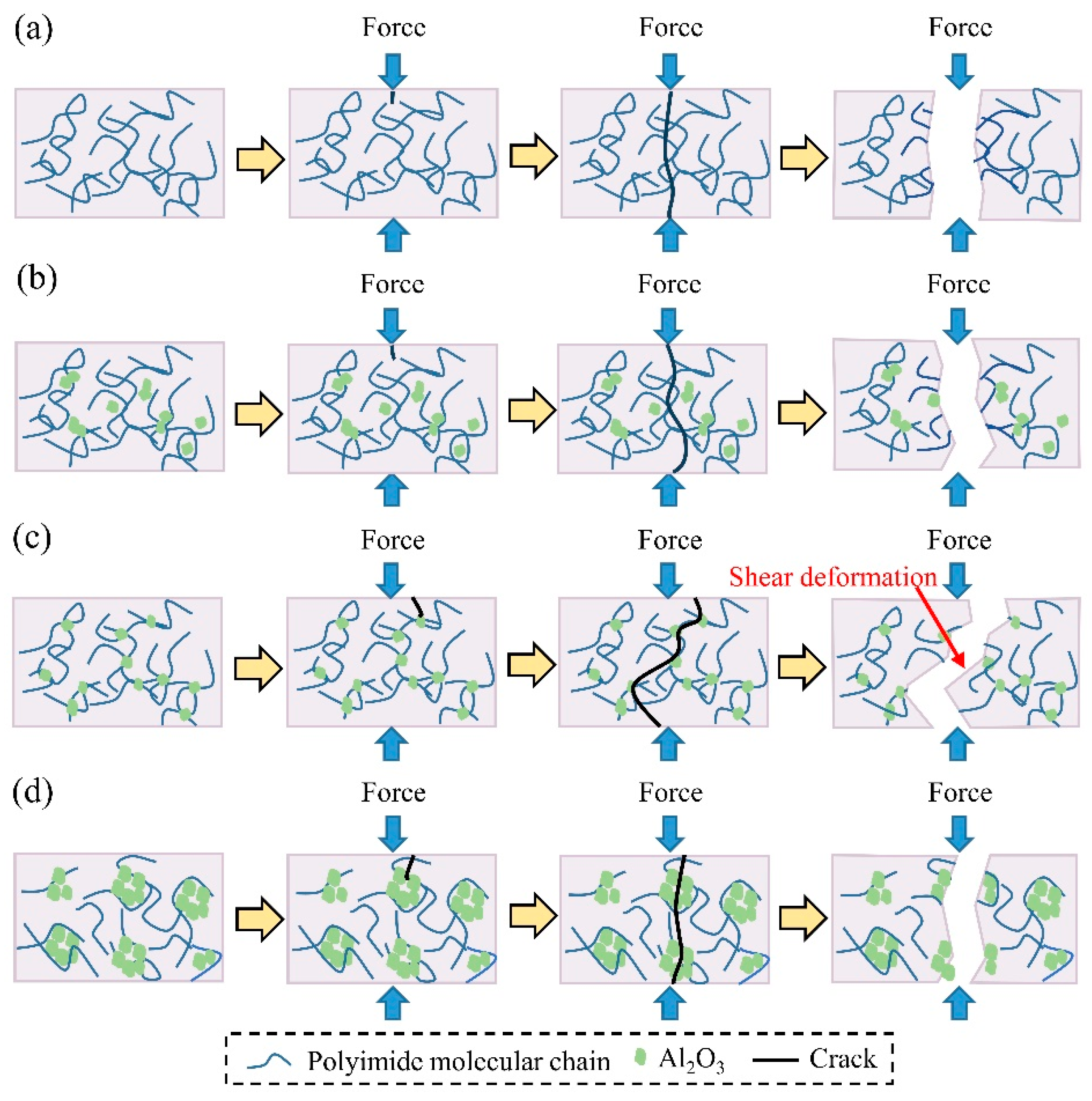 Coatings 14 00027 g012
