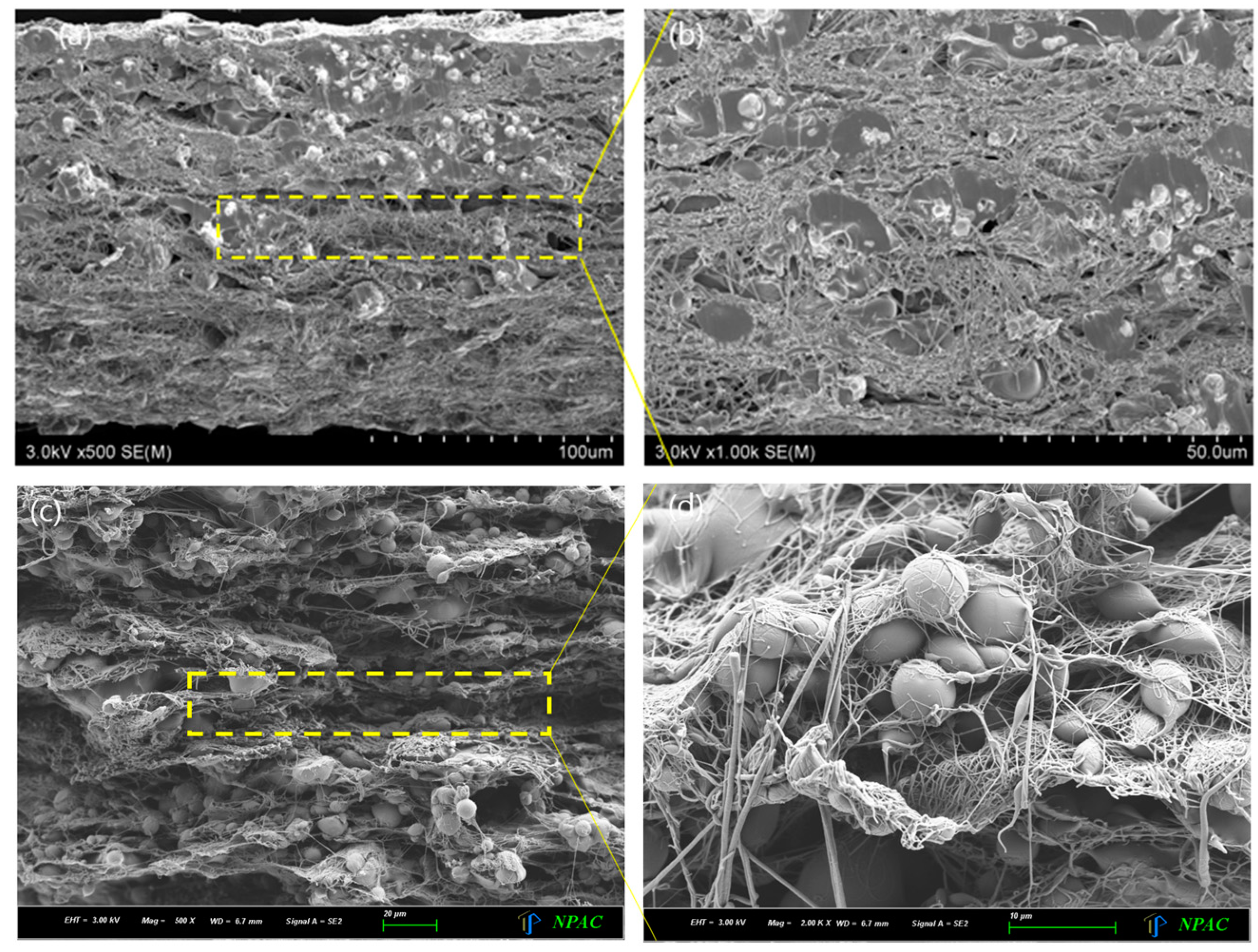 Coatings 14 00036 g005