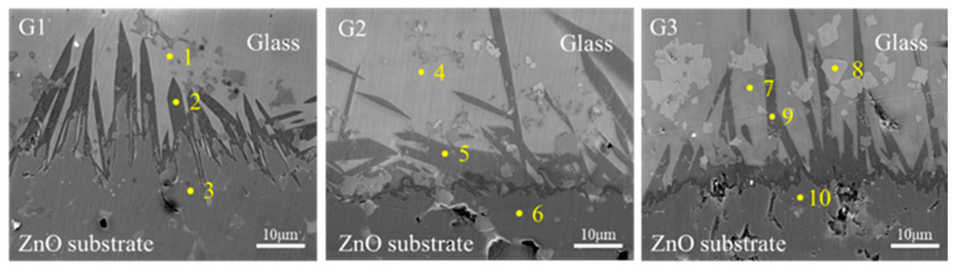 Coatings 14 00064 g011