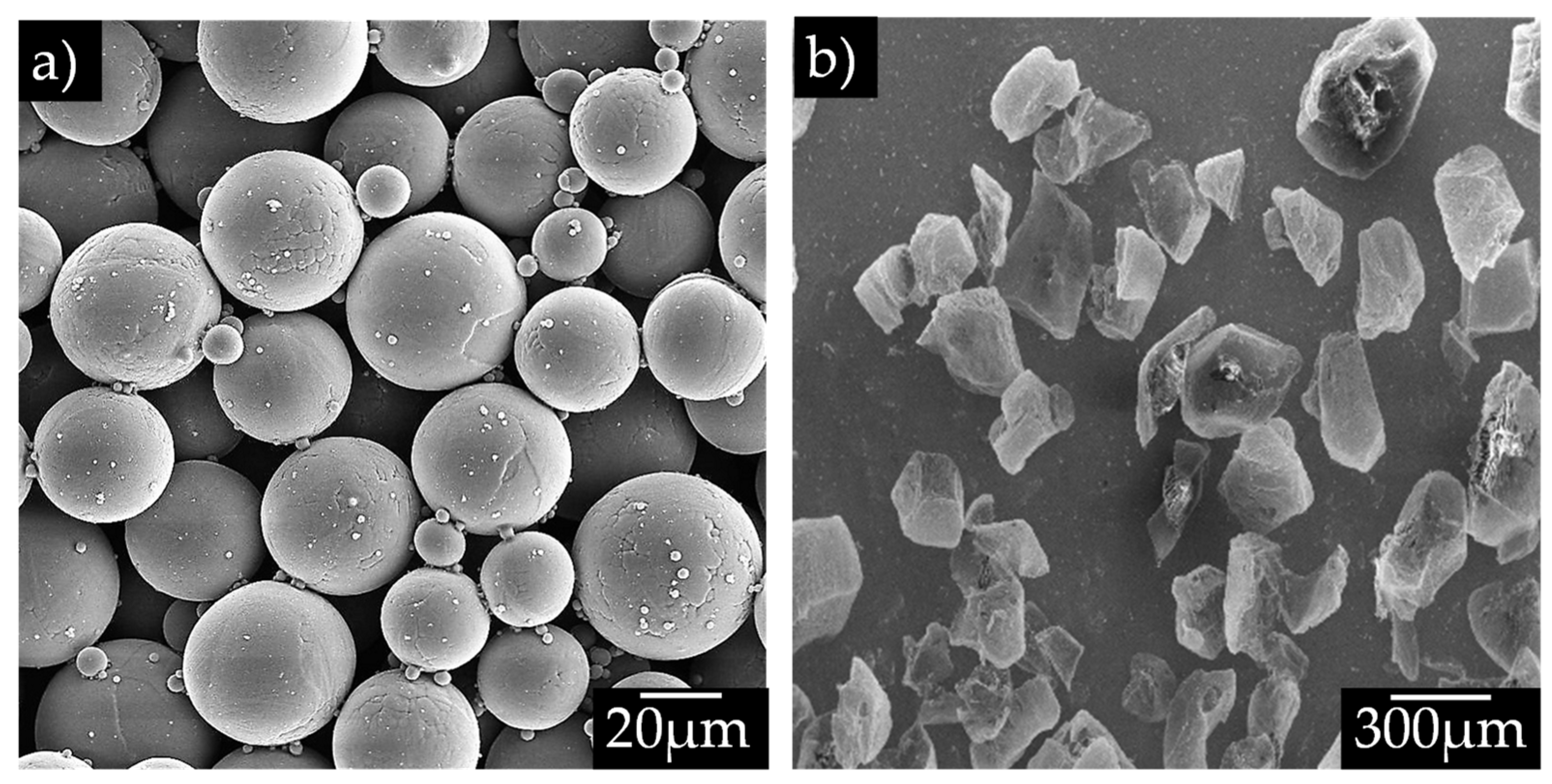 Coatings 14 00065 g001