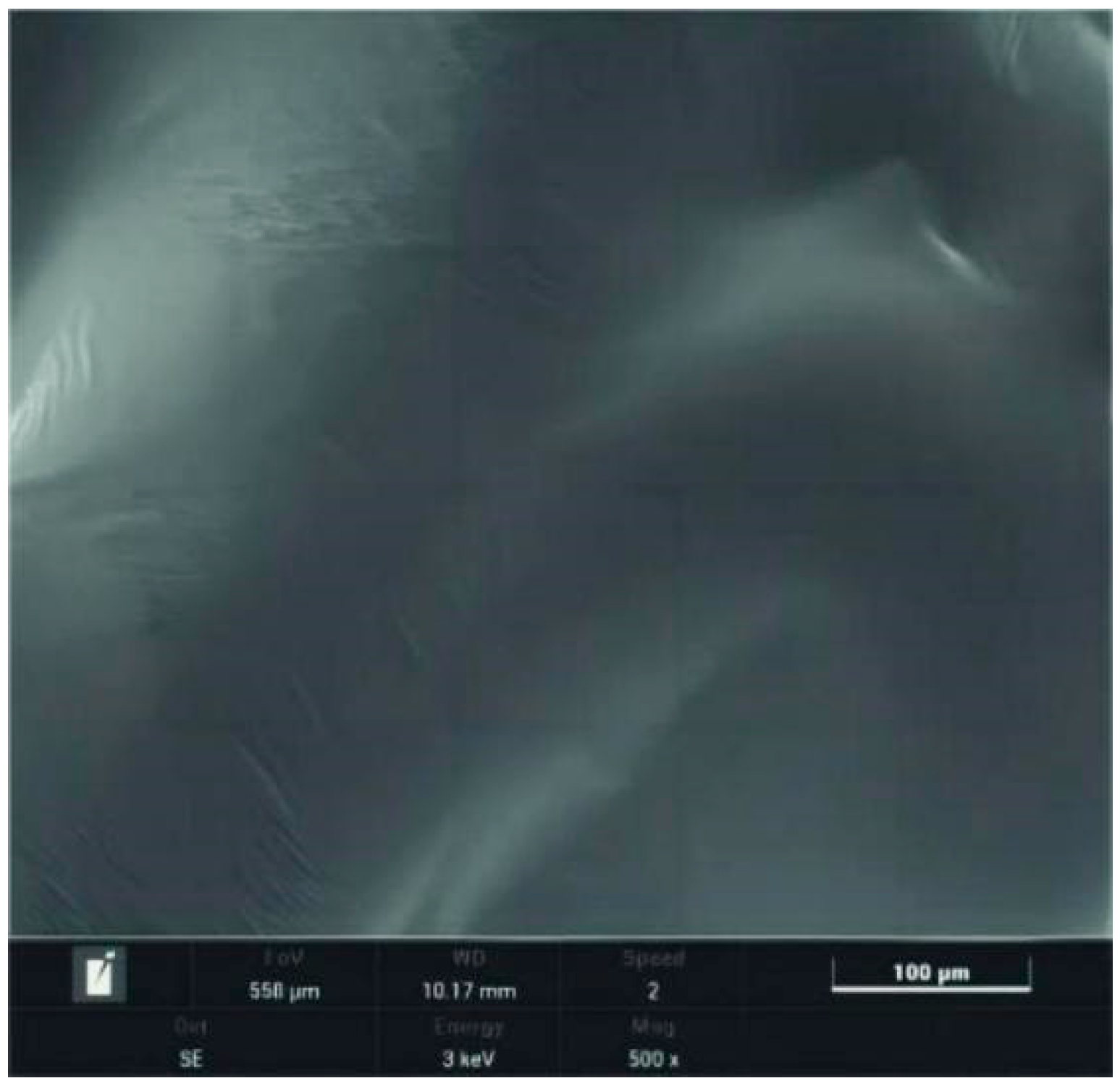 Coatings 14 00072 g012