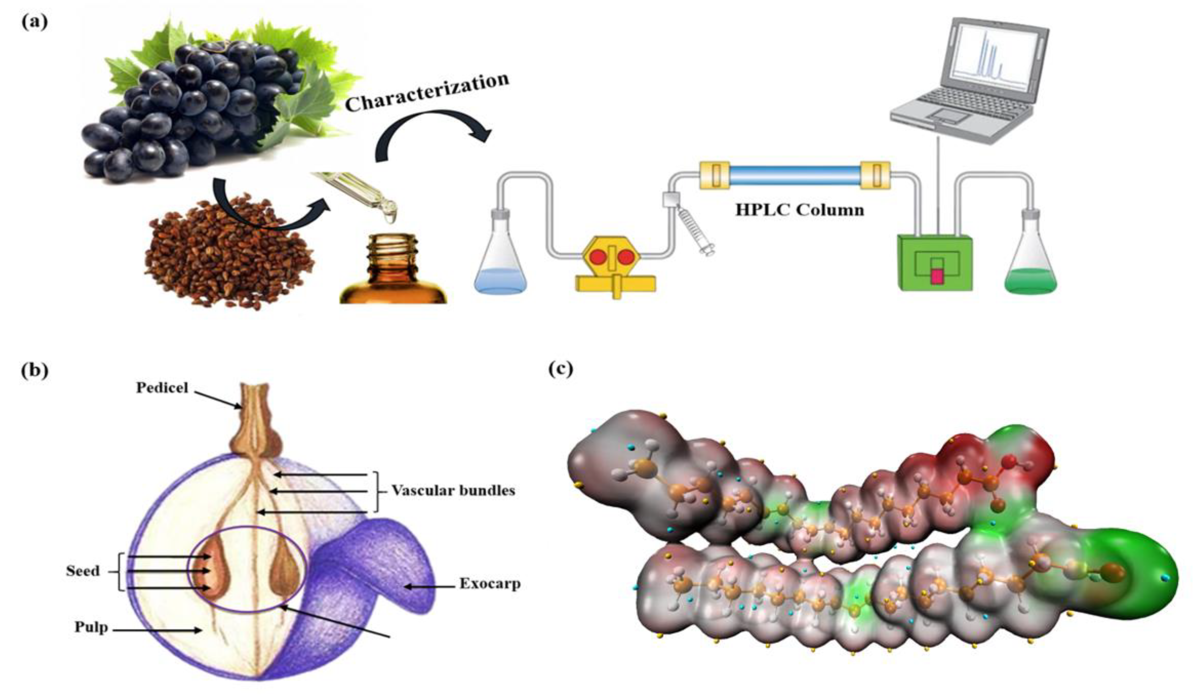 Coatings 14 00077 g001