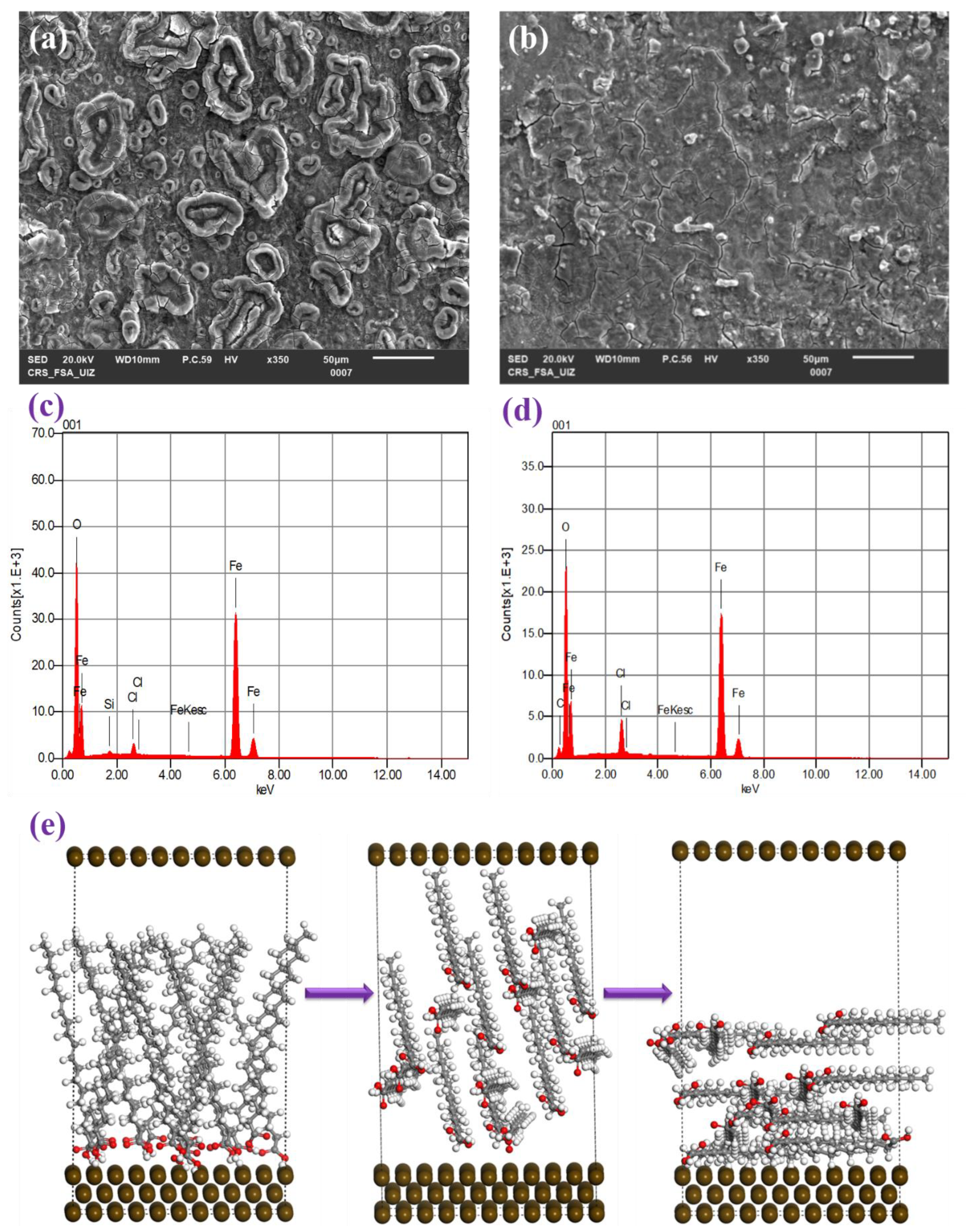 Coatings 14 00077 g010
