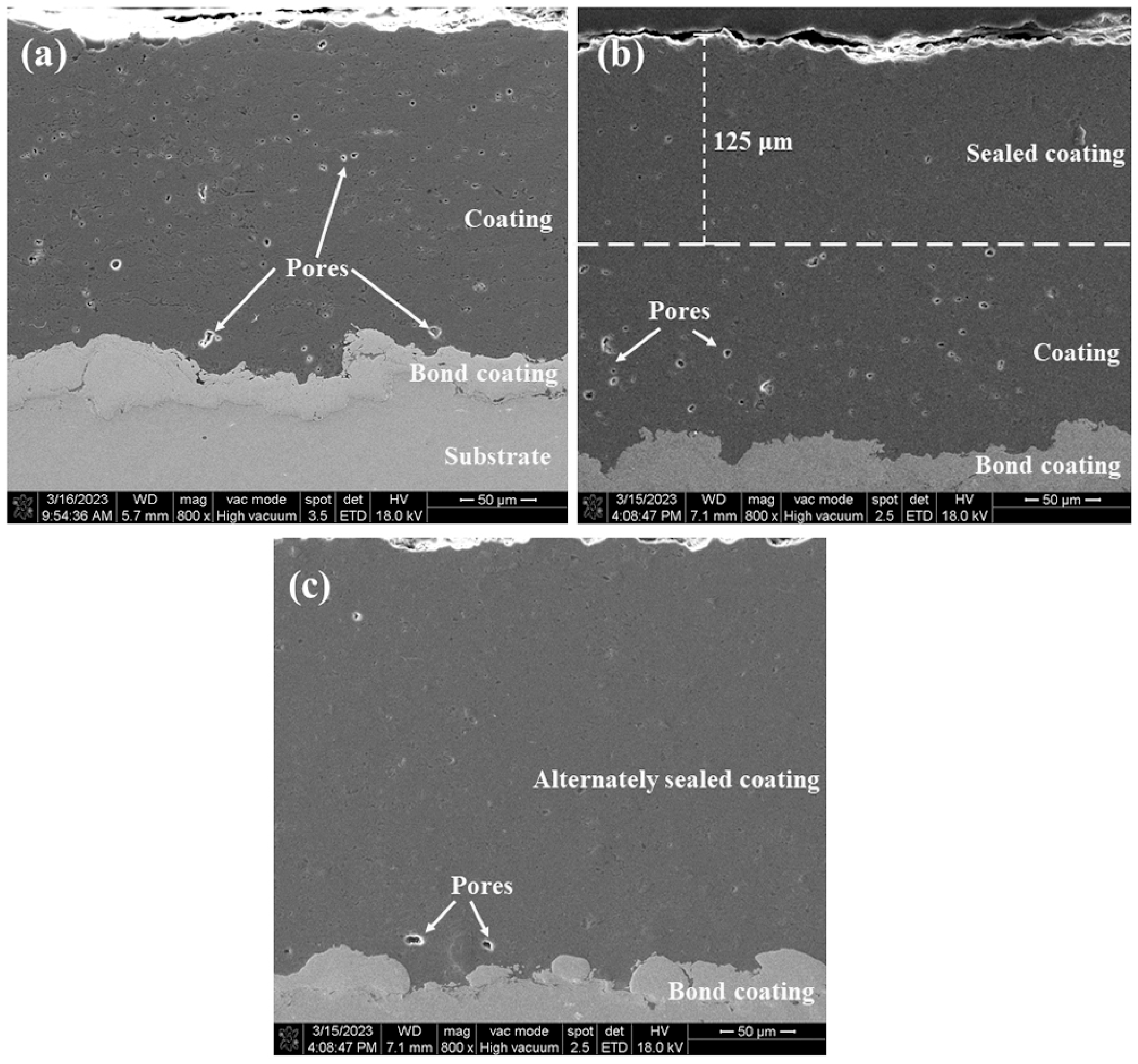 Coatings 14 00078 g005