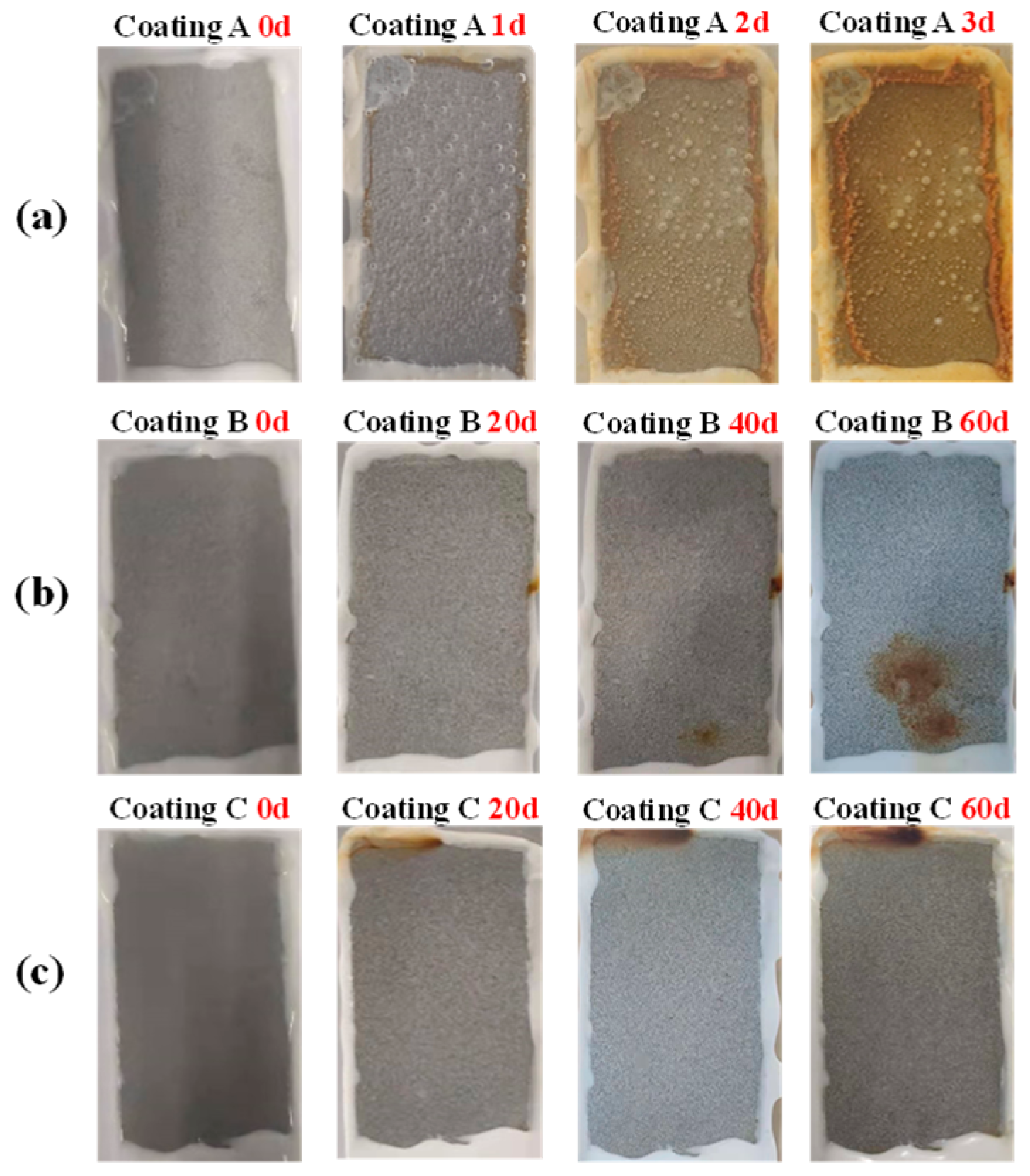 Coatings 14 00078 g013