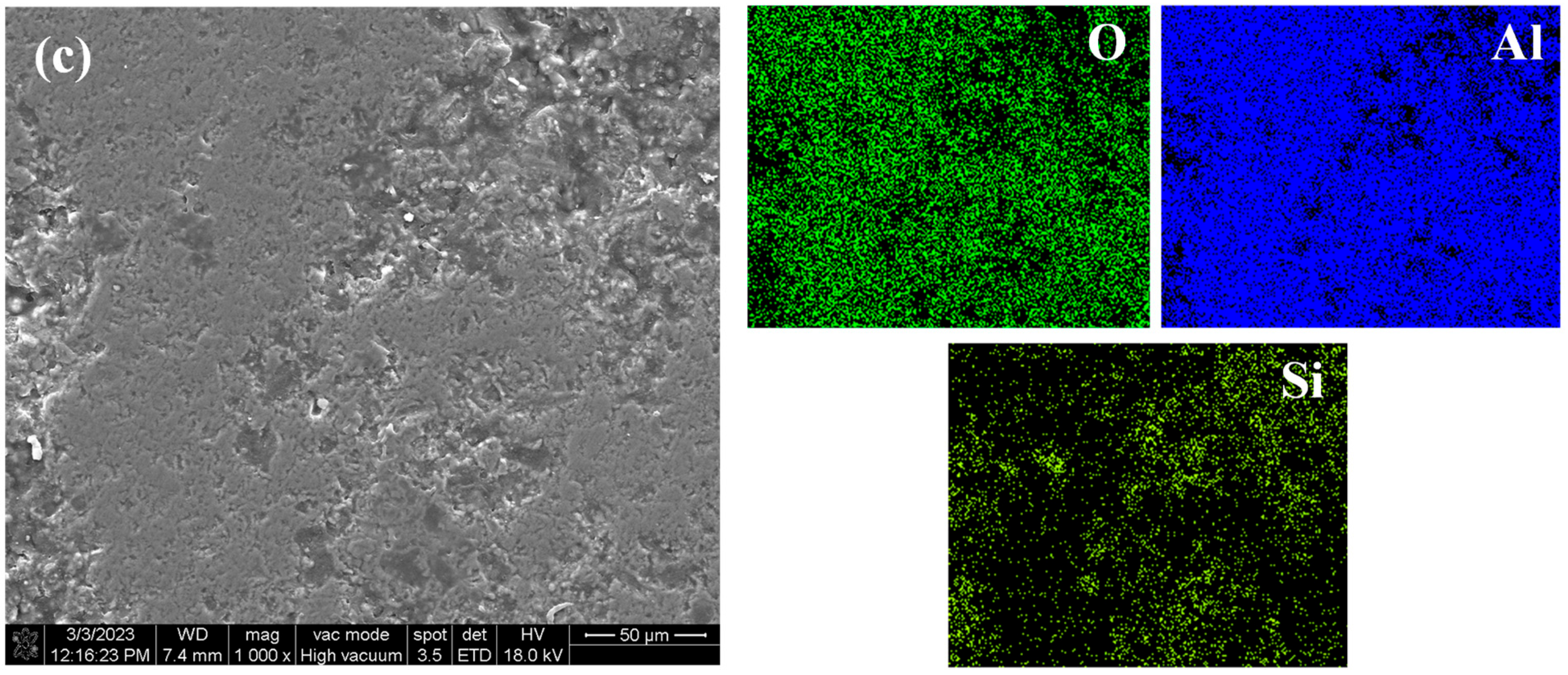 Coatings 14 00078 g014b