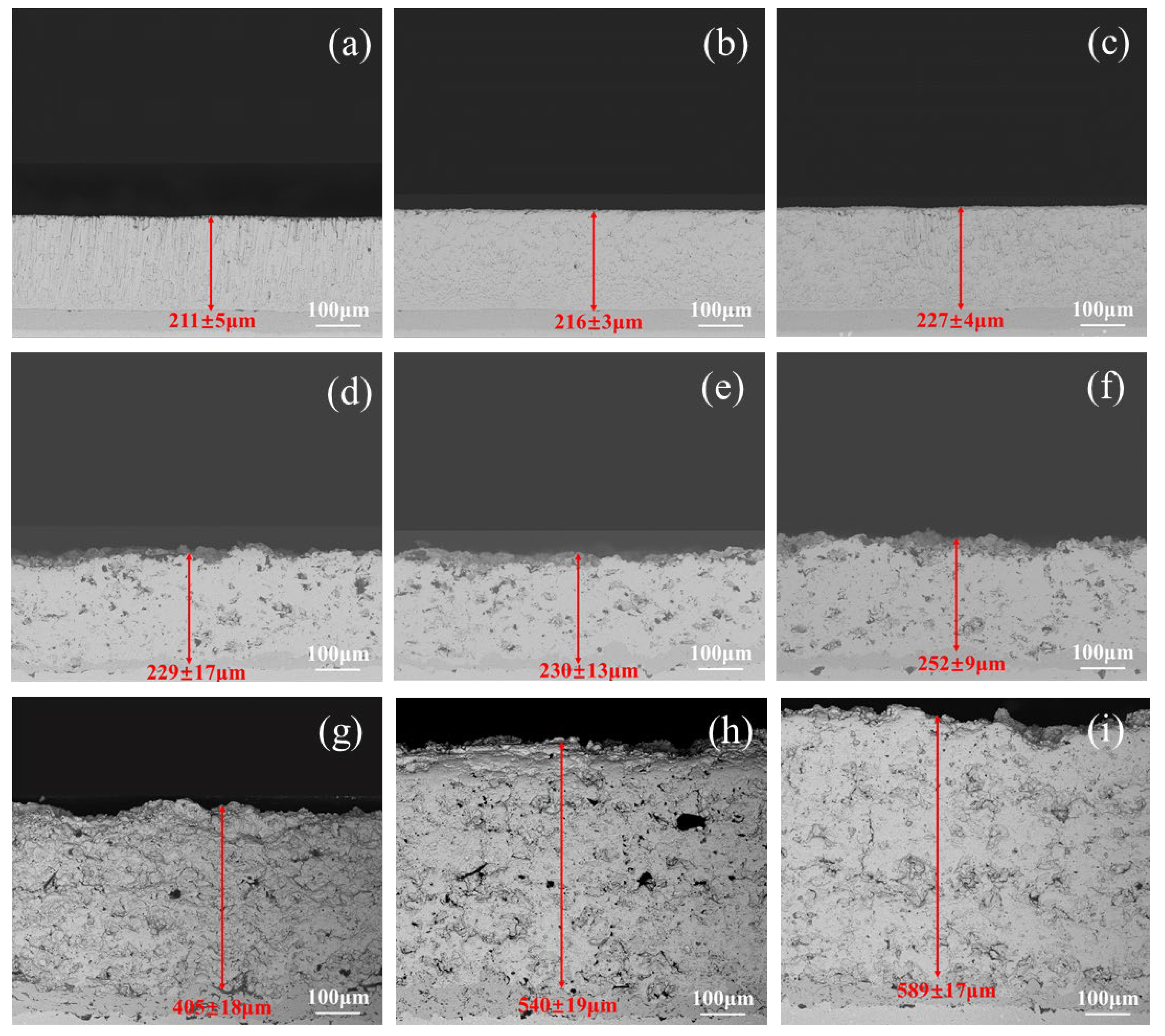 Coatings 14 00079 g003