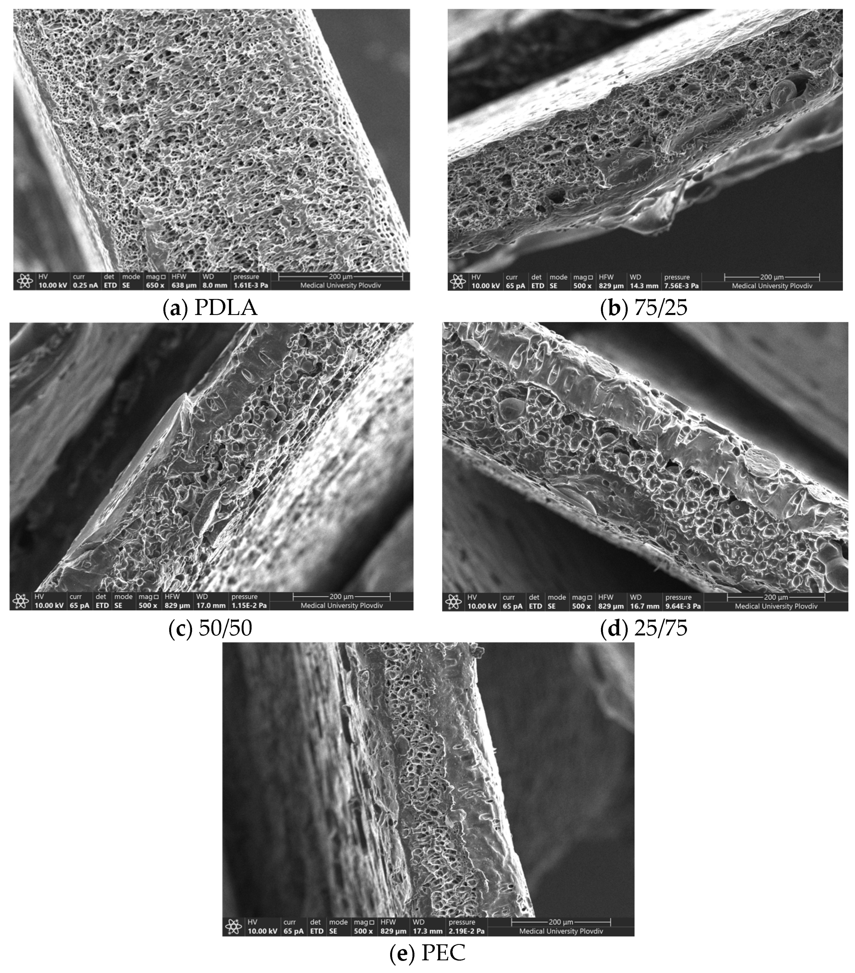 Coatings 14 00085 g003