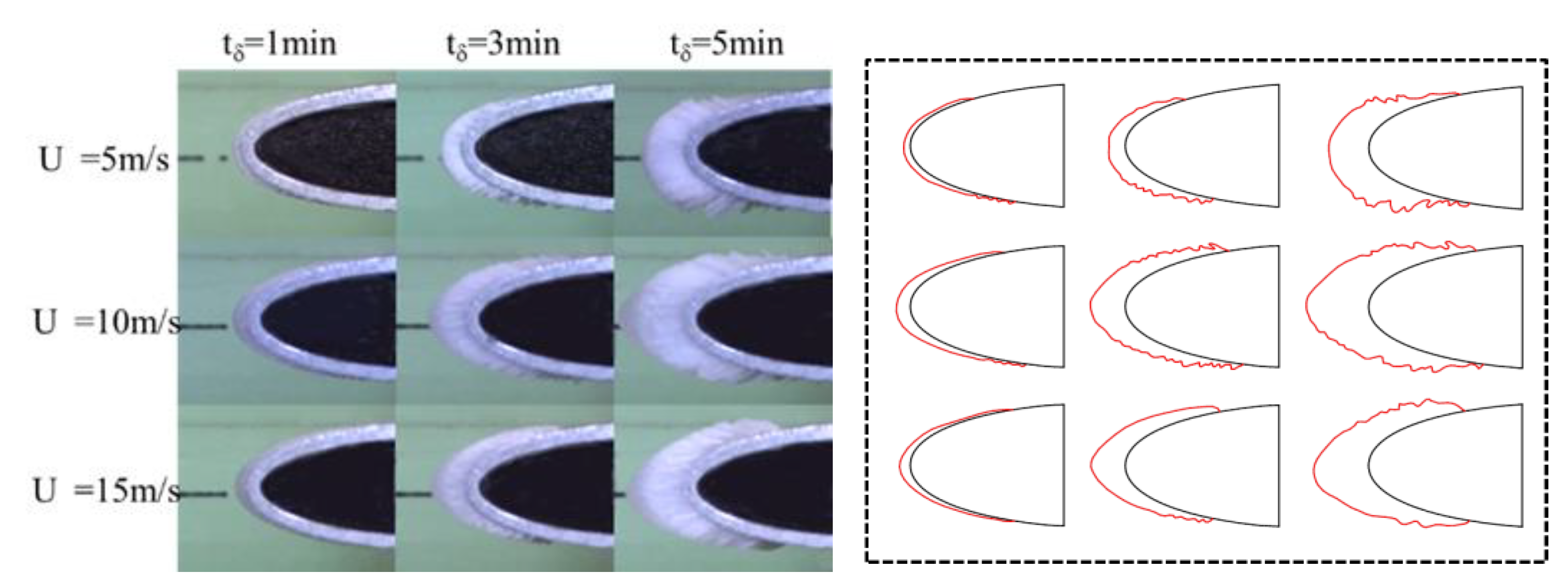 Coatings 14 00094 g004