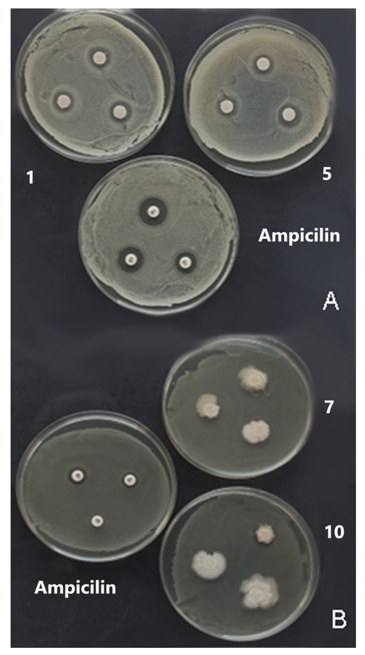 Coatings 14 00095 g005