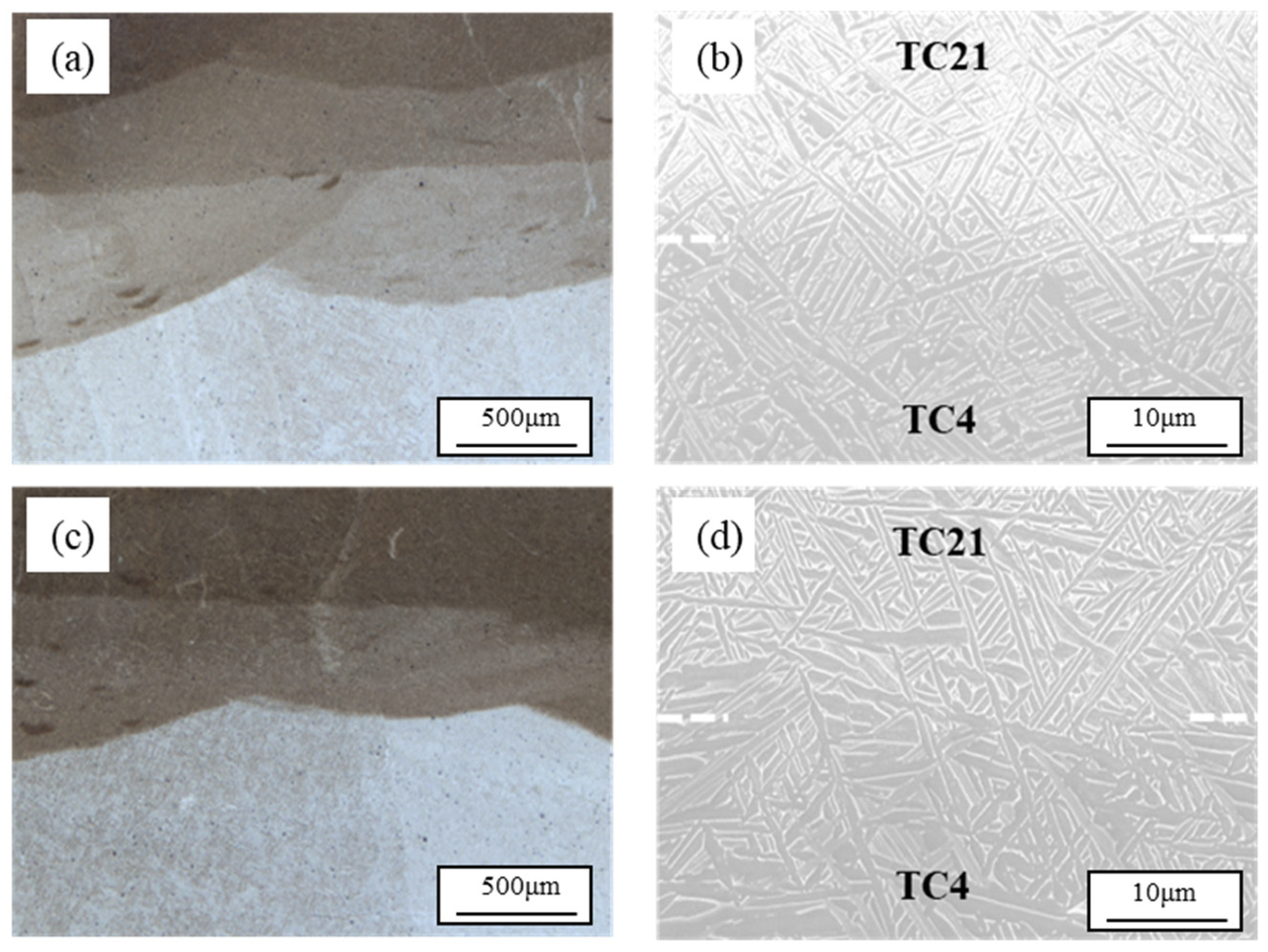Coatings 14 00104 g004