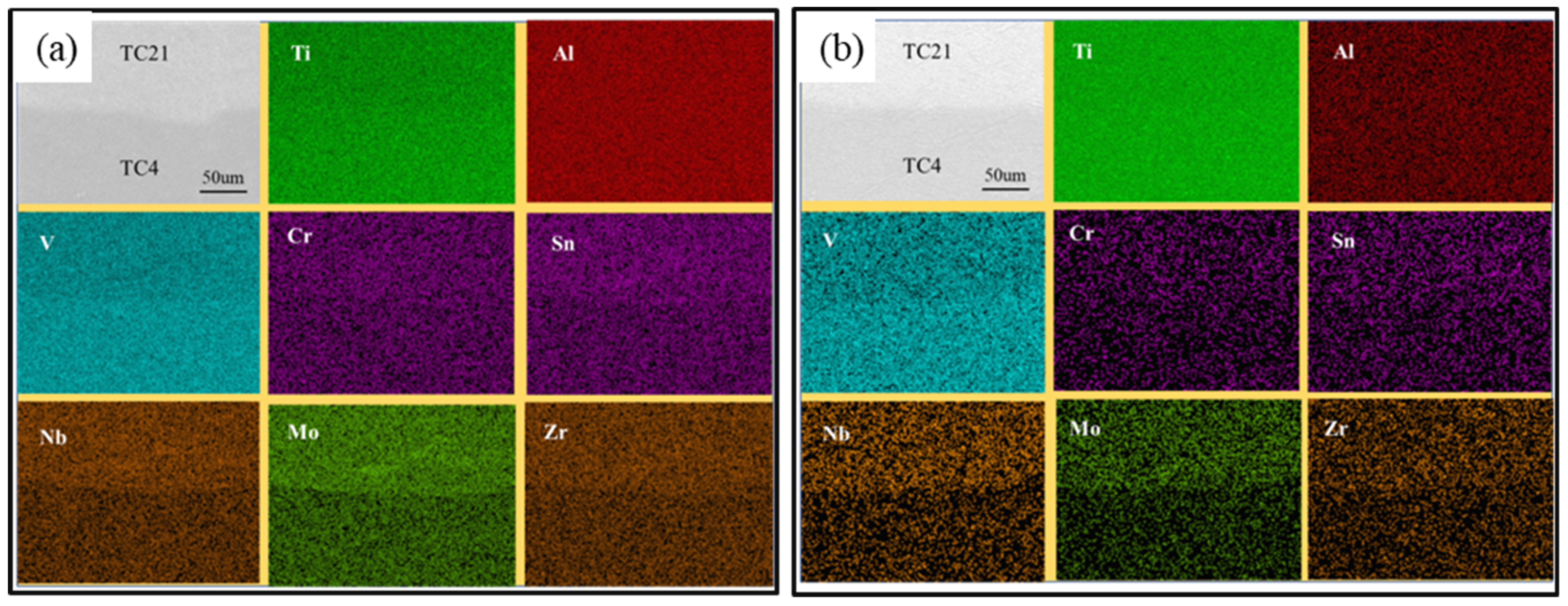 Coatings 14 00104 g006