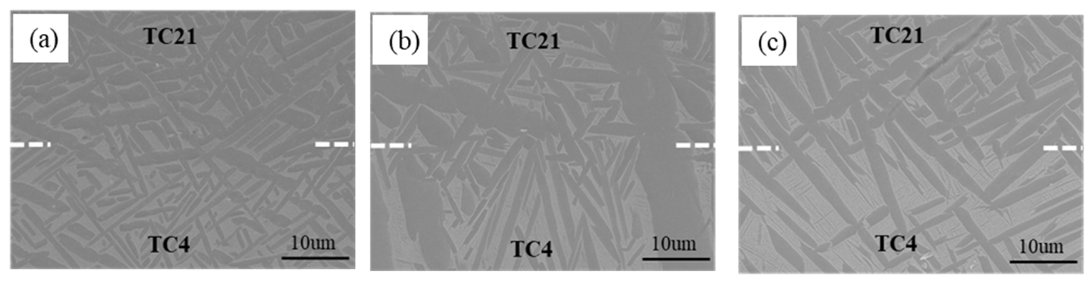 Coatings 14 00104 g008