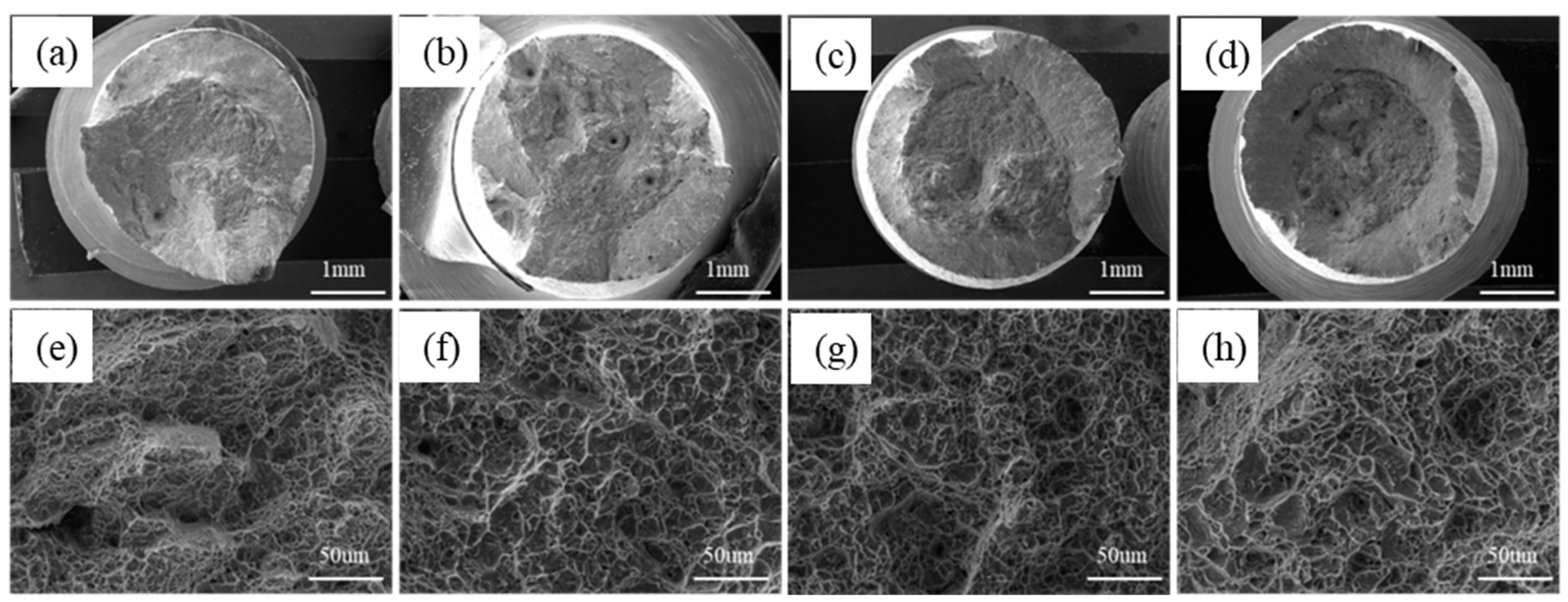 Coatings 14 00104 g011