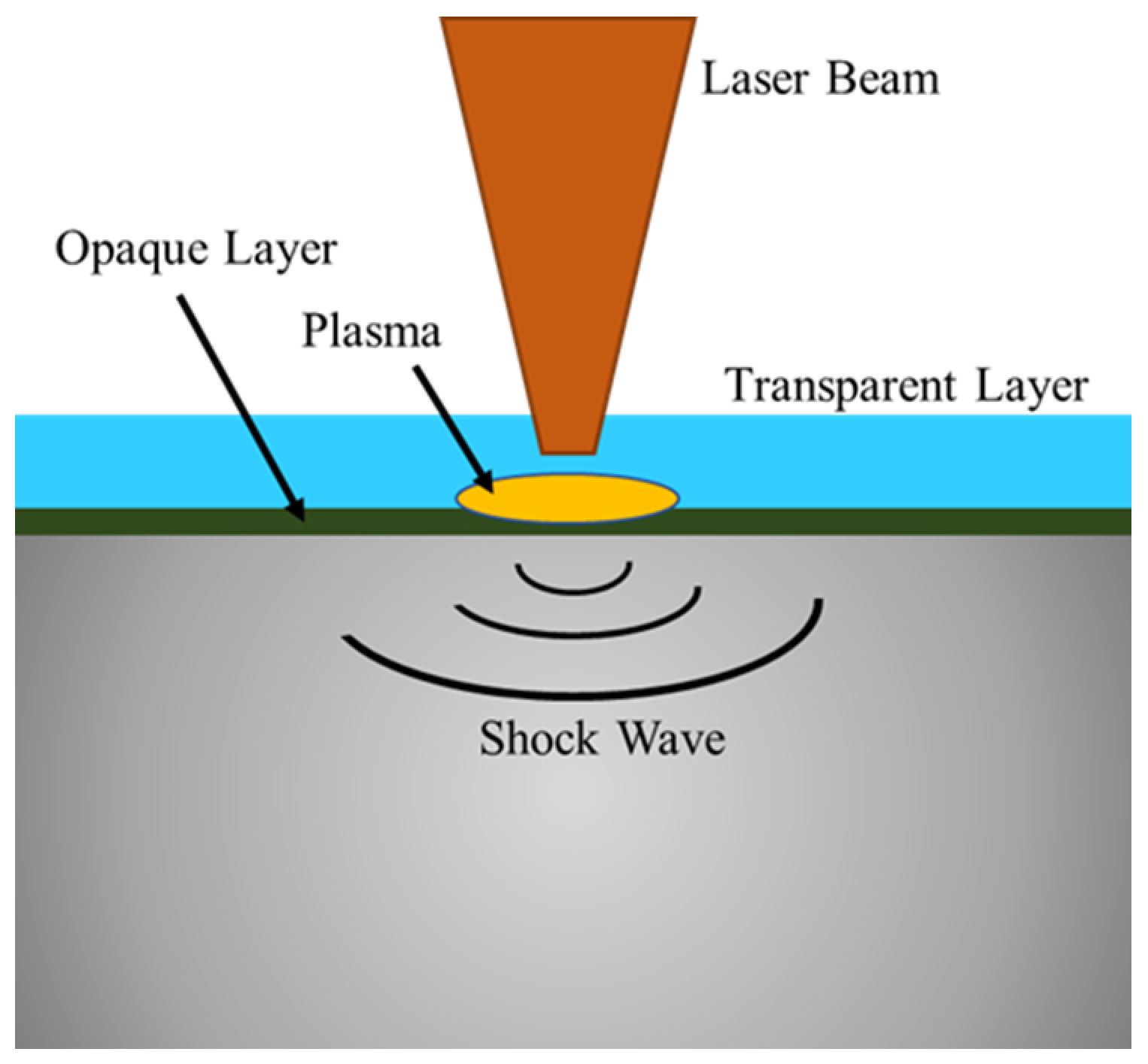 Coatings 14 00110 g001