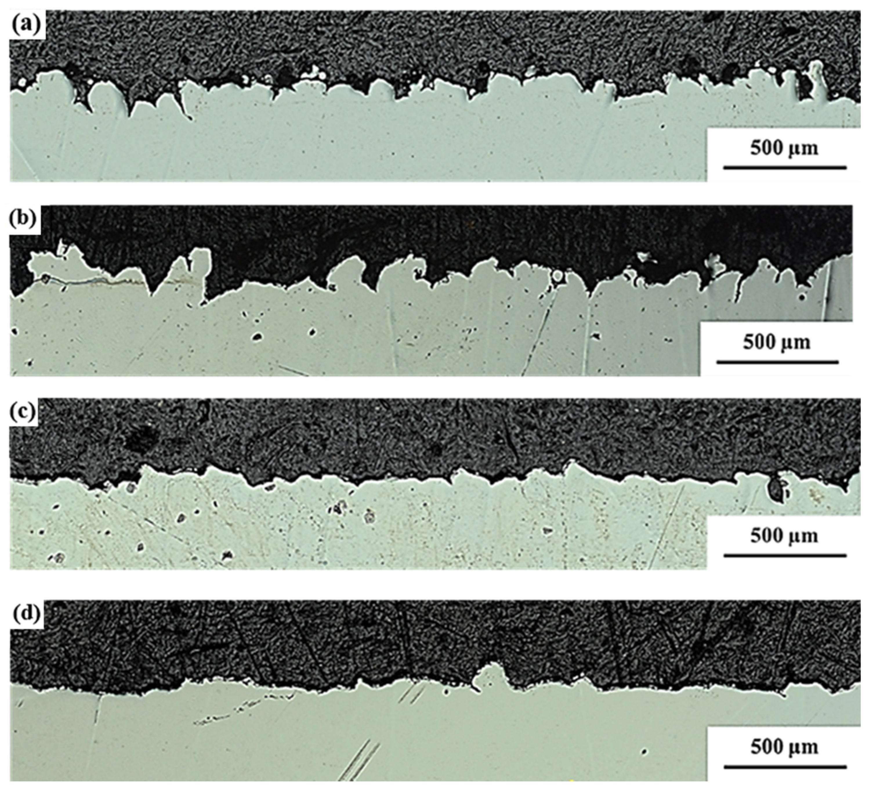 Coatings 14 00110 g007