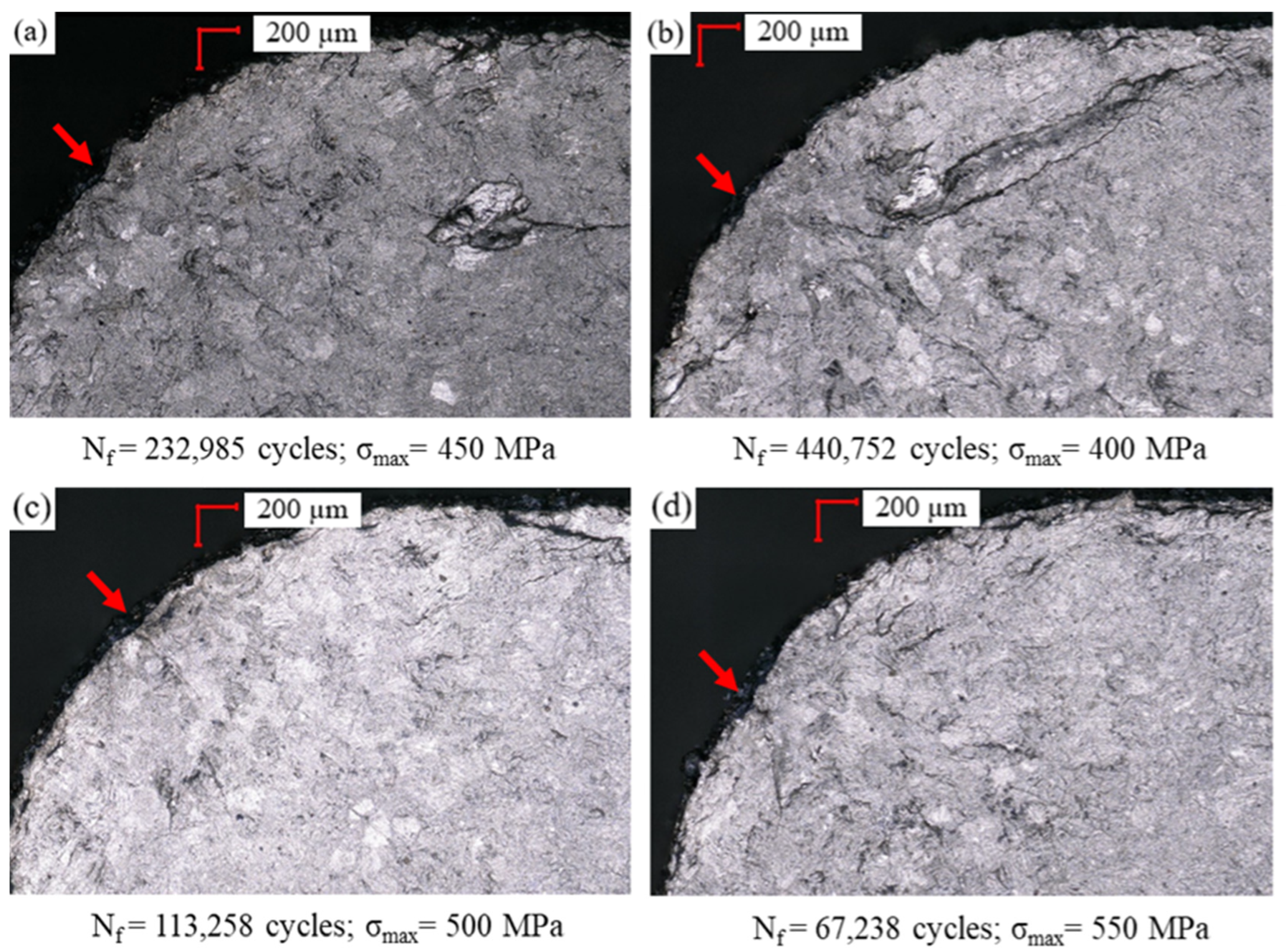 Coatings 14 00110 g010