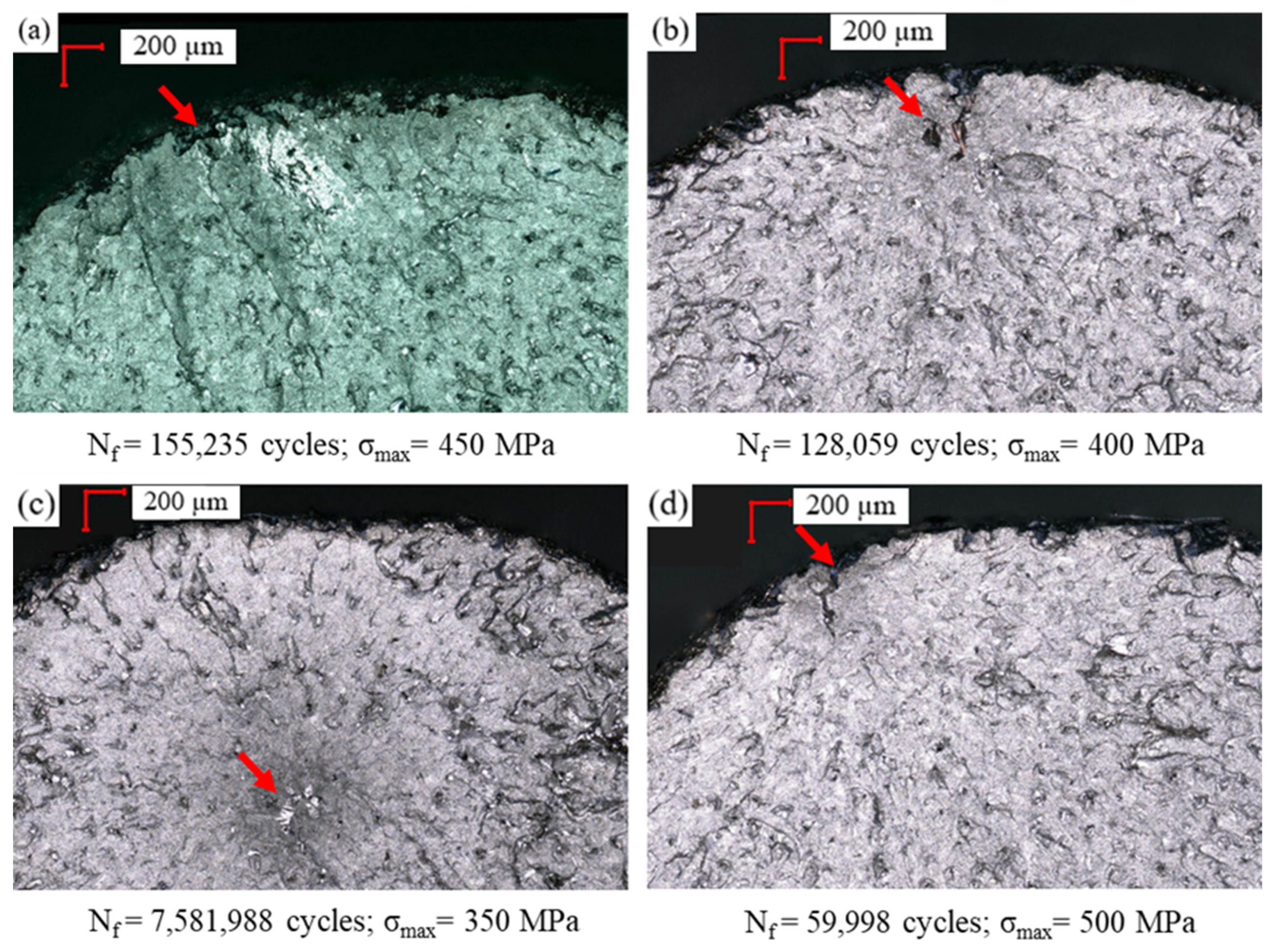 Coatings 14 00110 g011