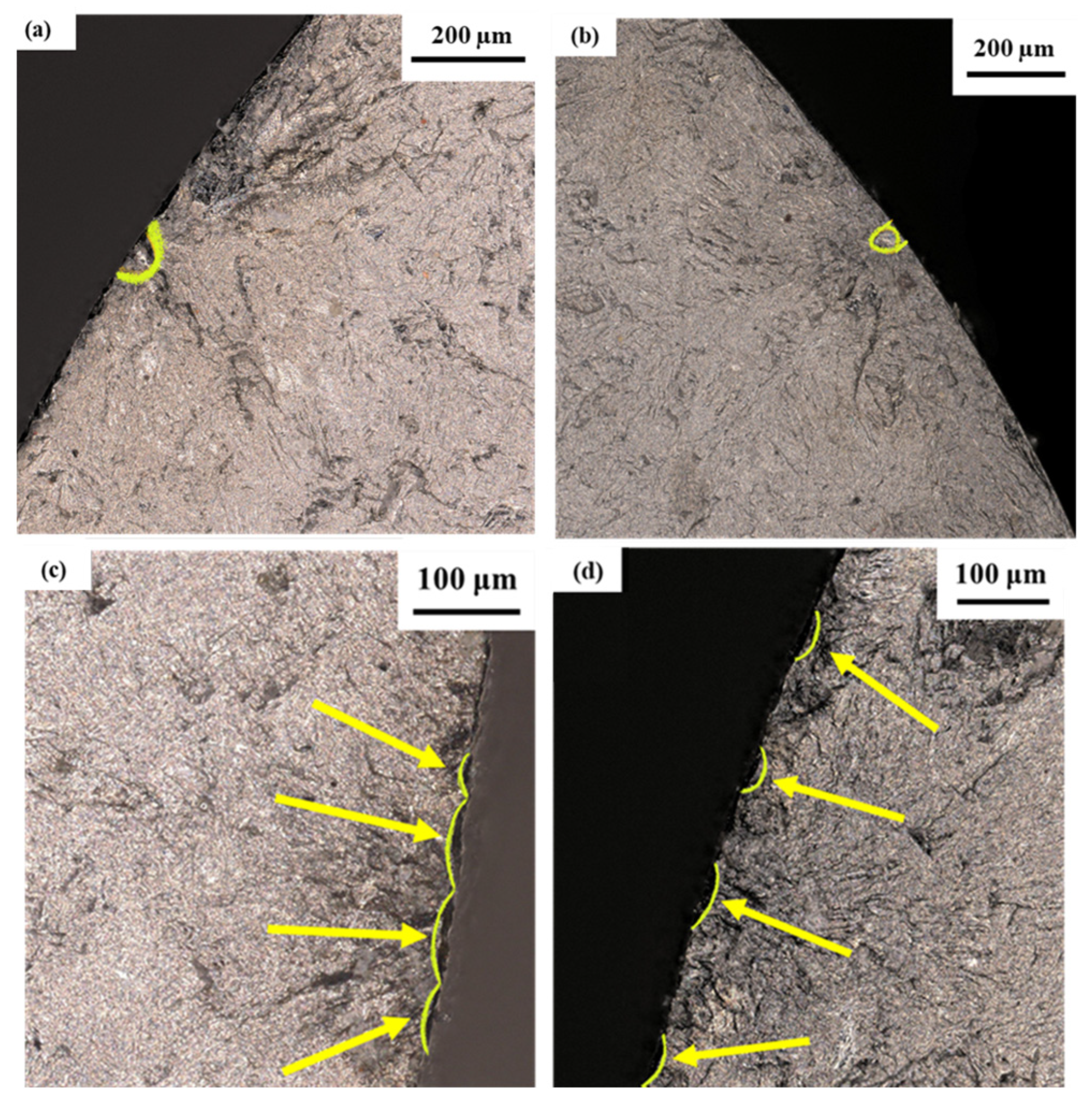 Coatings 14 00110 g017