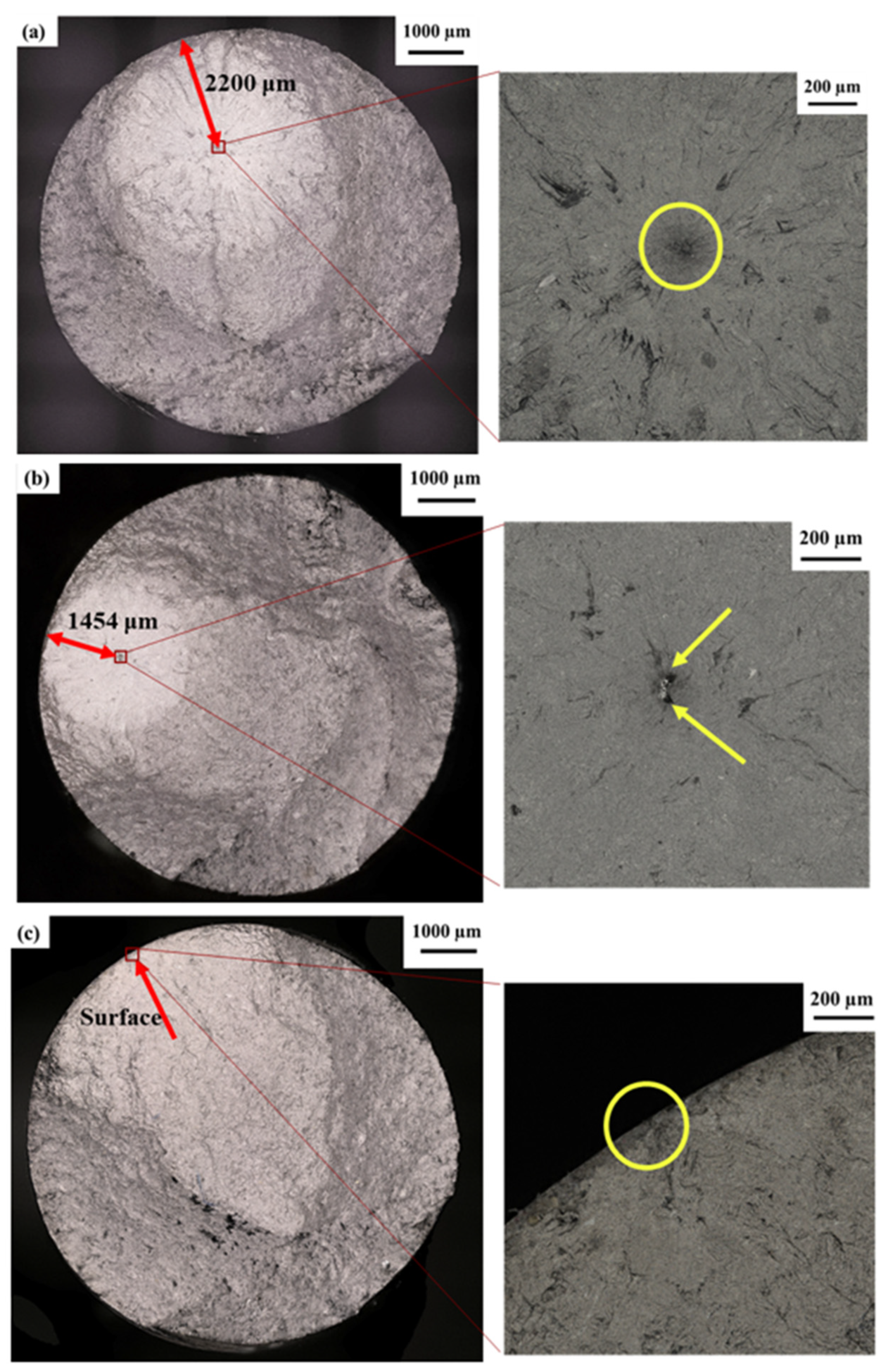 Coatings 14 00110 g018