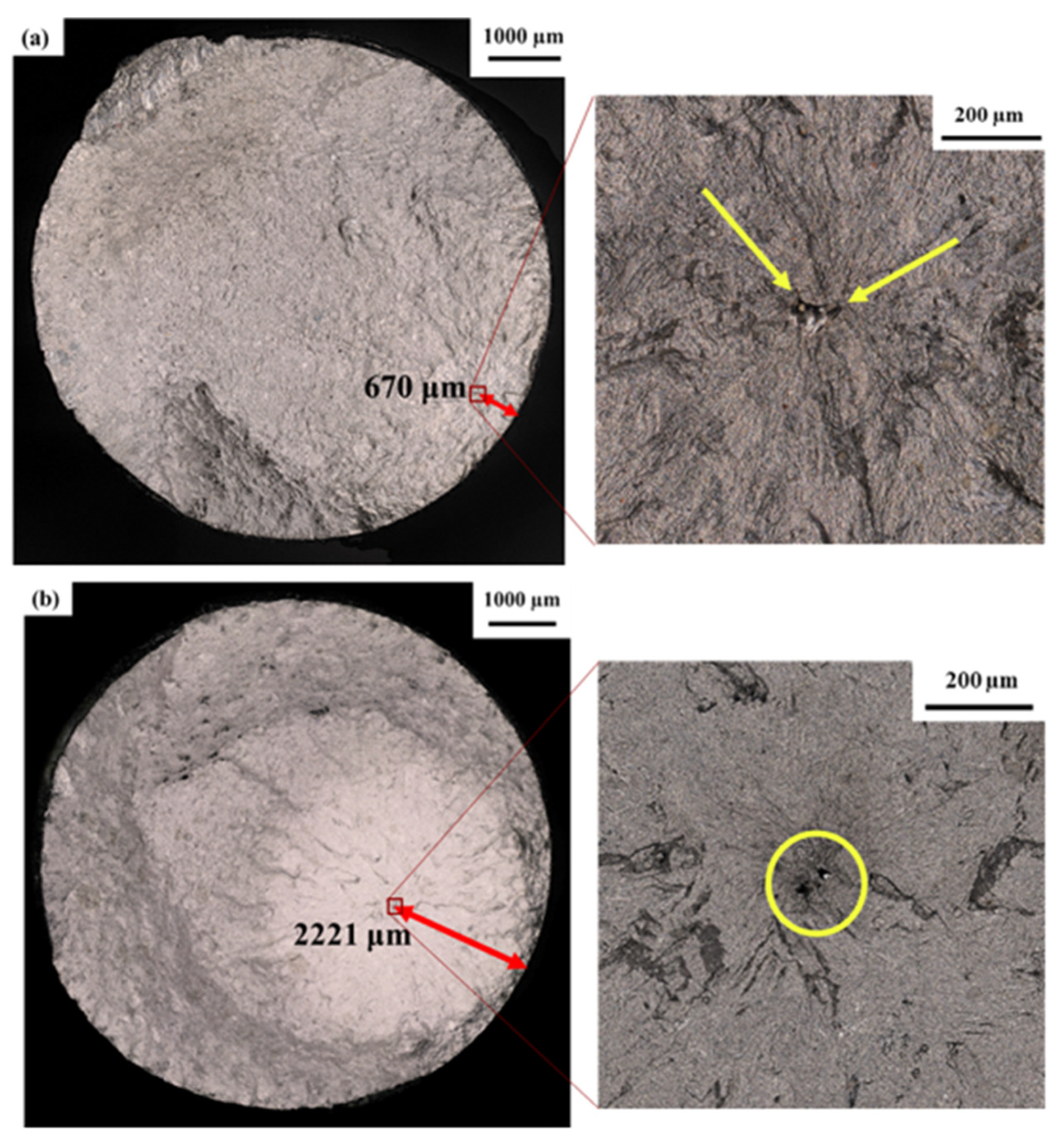Coatings 14 00110 g019