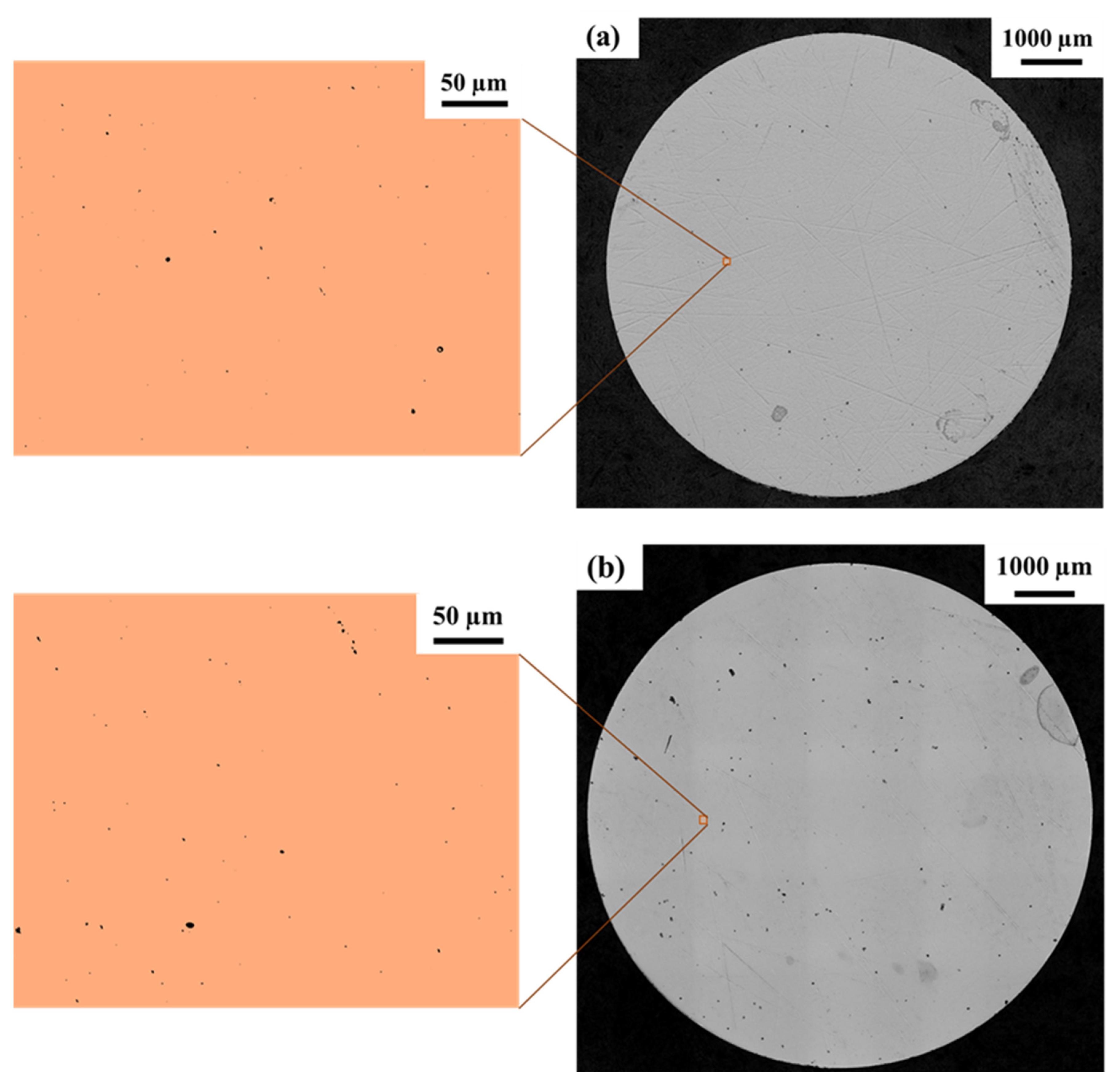 Coatings 14 00110 g020