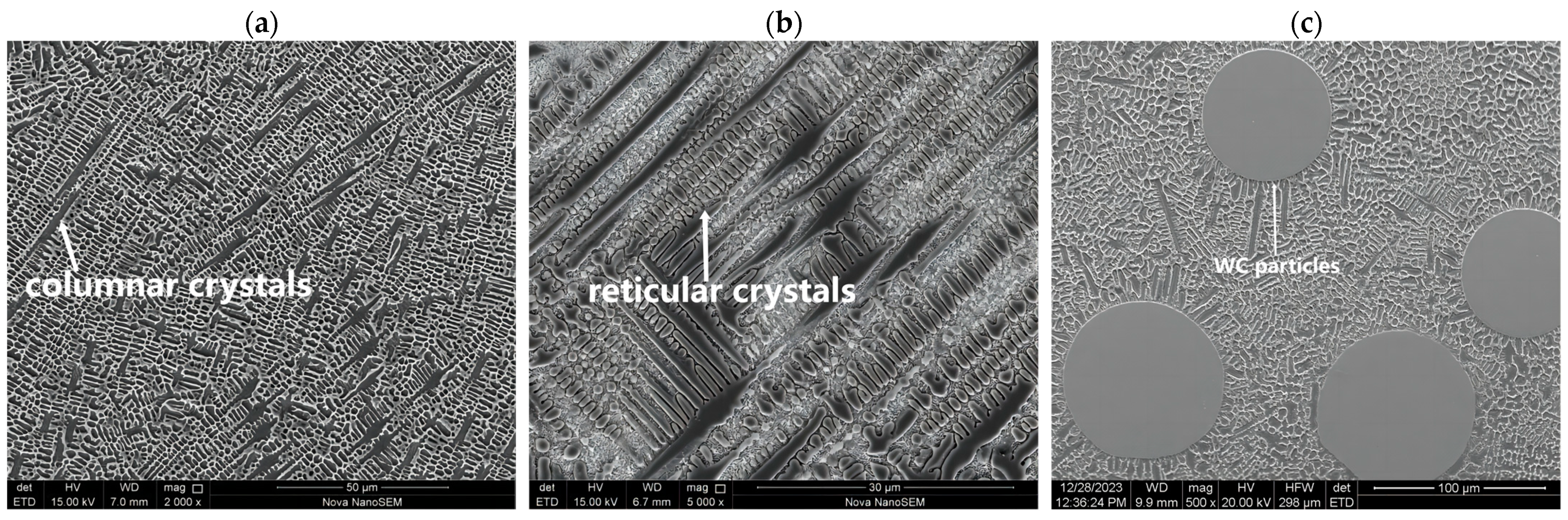 Coatings 14 00114 g002