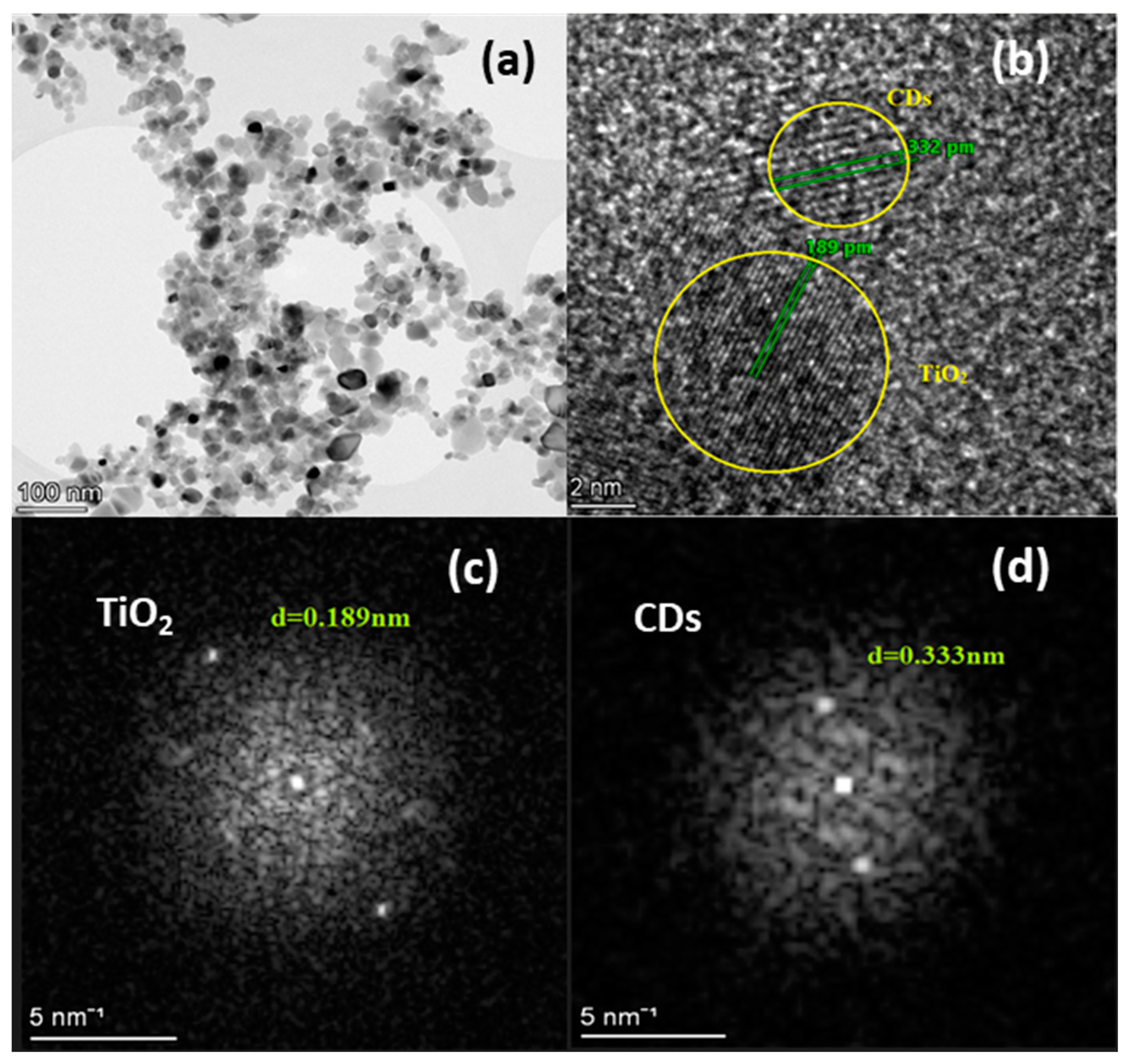 Coatings 14 00131 g003