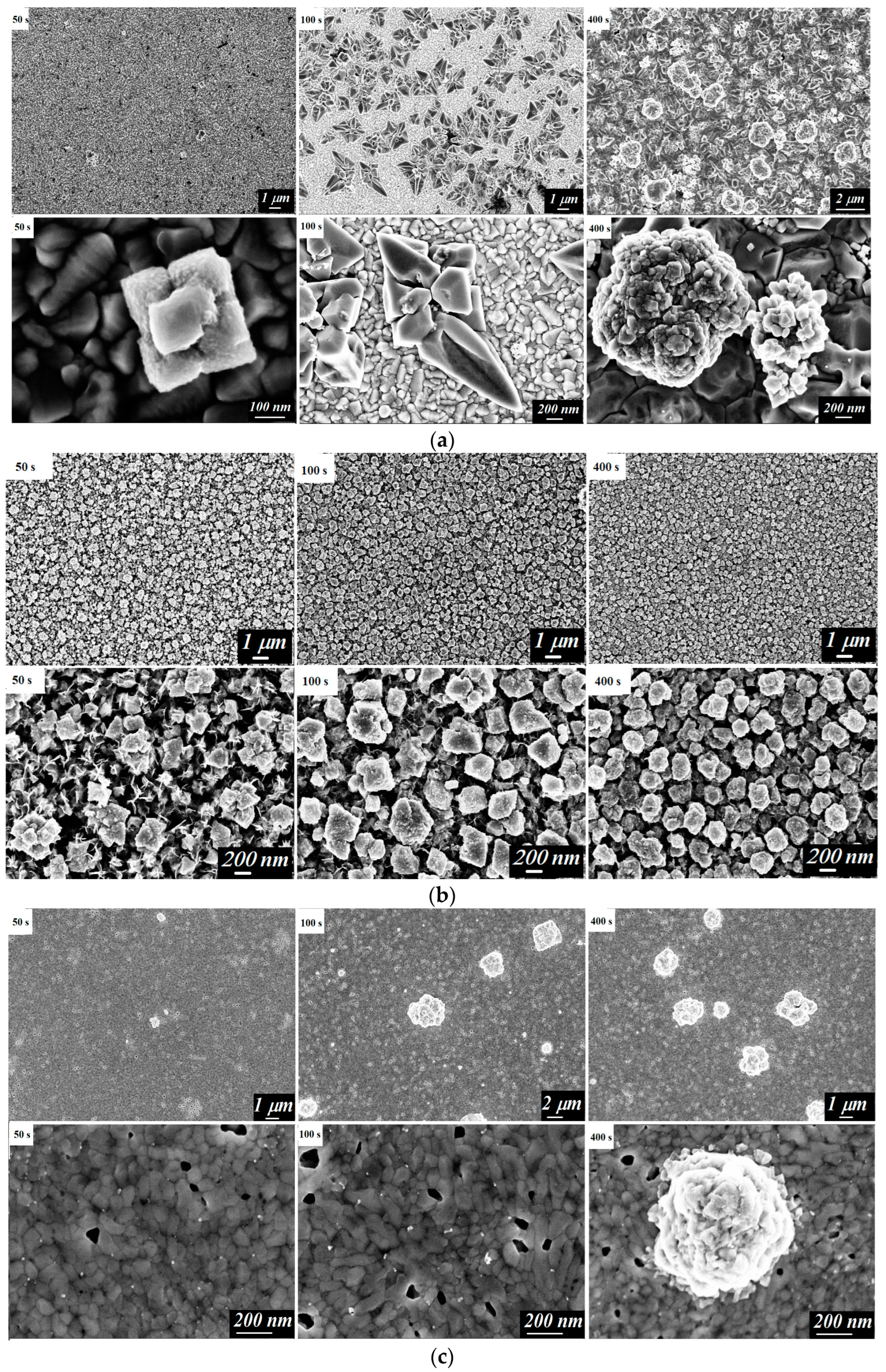 Coatings 14 00141 g002a Coatings 14 00141 g002a