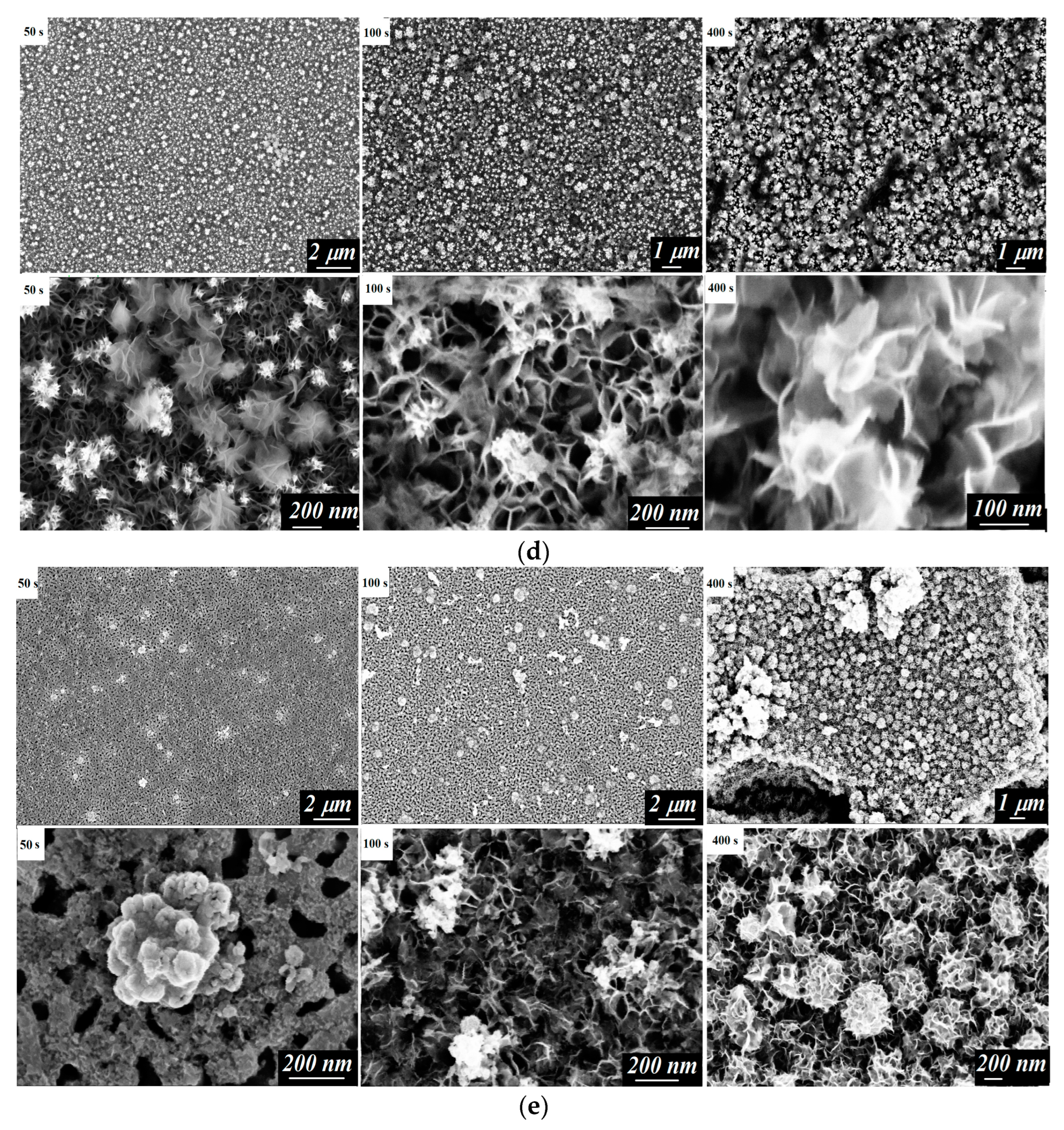 Coatings 14 00141 g002b Coatings 14 00141 g002b