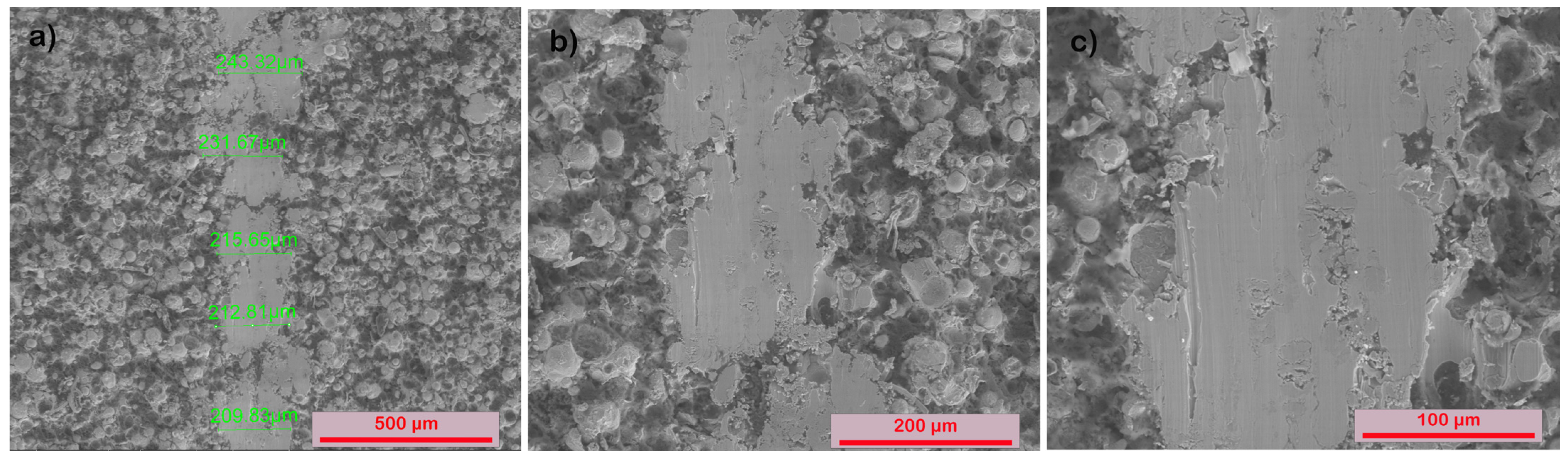 Coatings 14 00145 g007