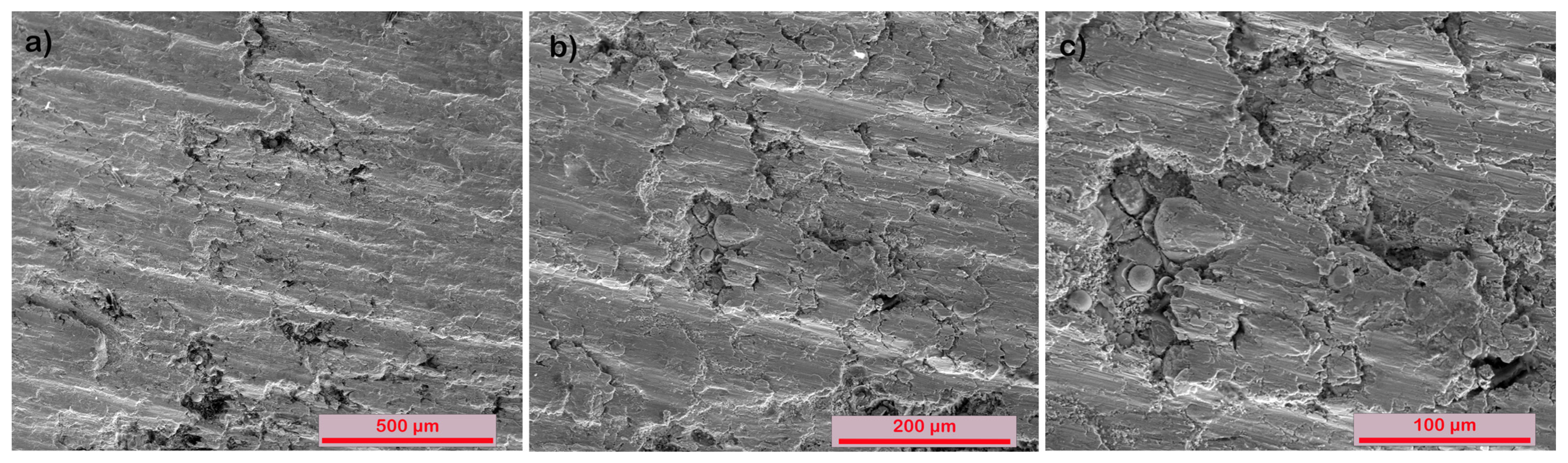 Coatings 14 00145 g010