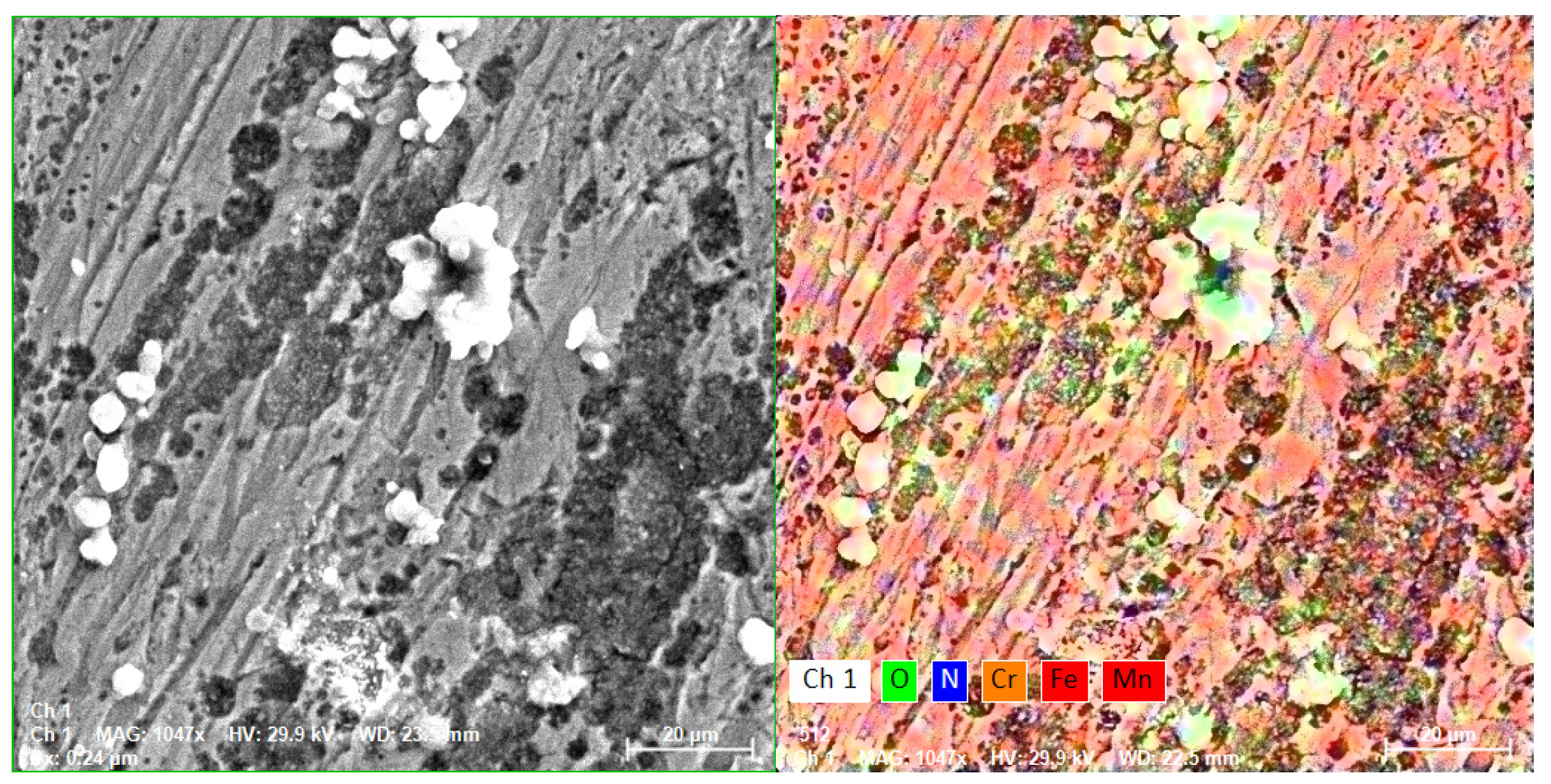 Coatings 14 00145 g015