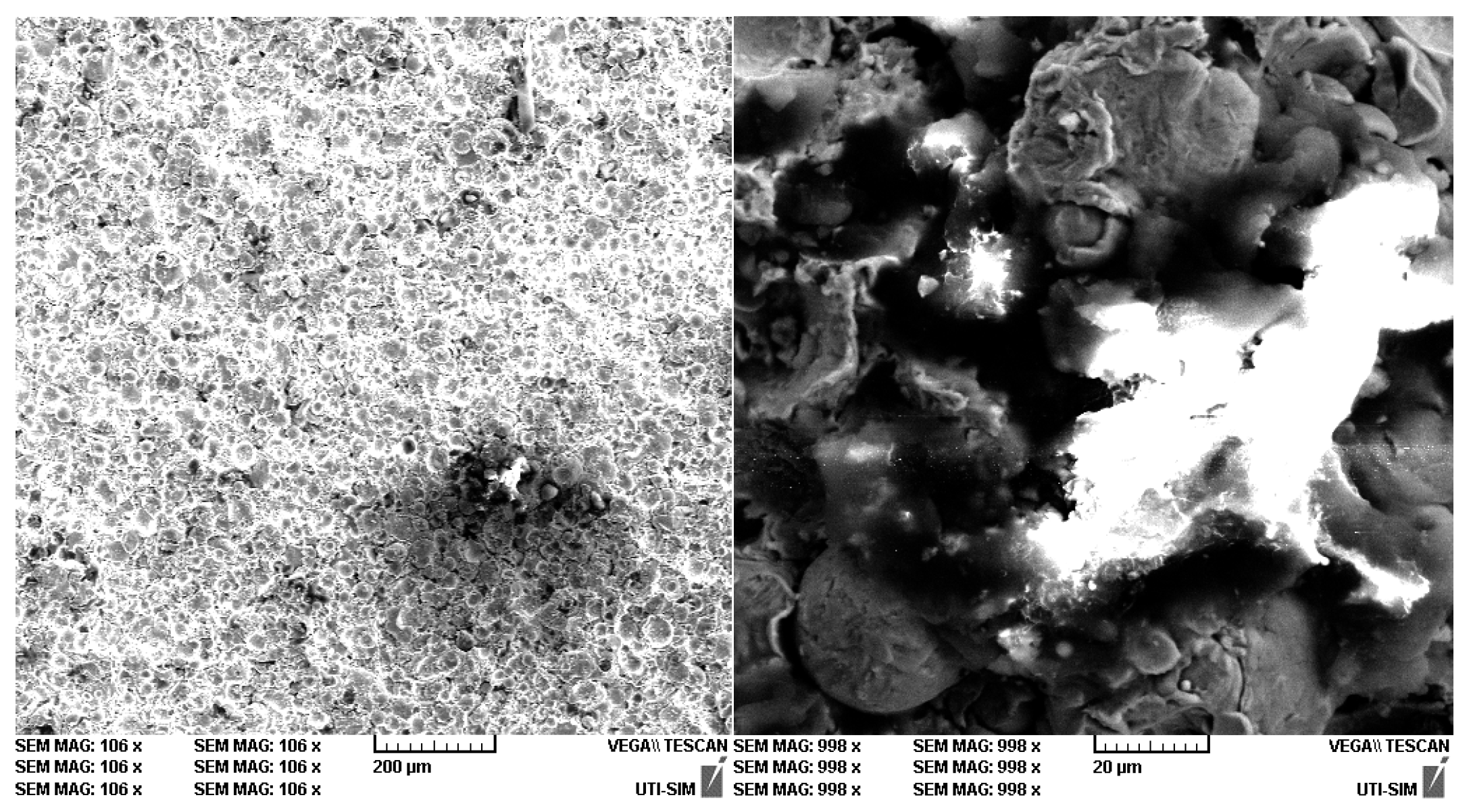Coatings 14 00145 g016