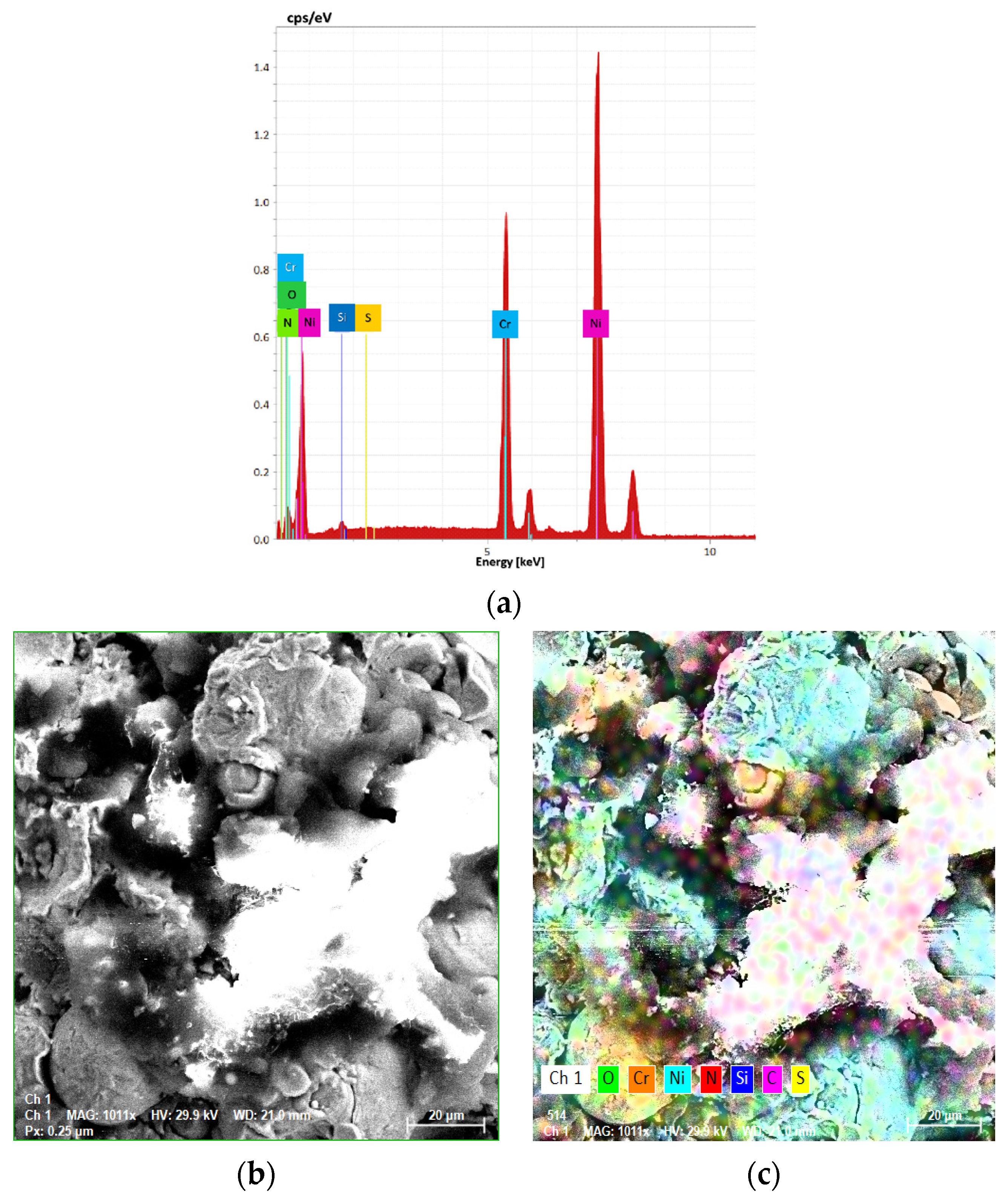 Coatings 14 00145 g017