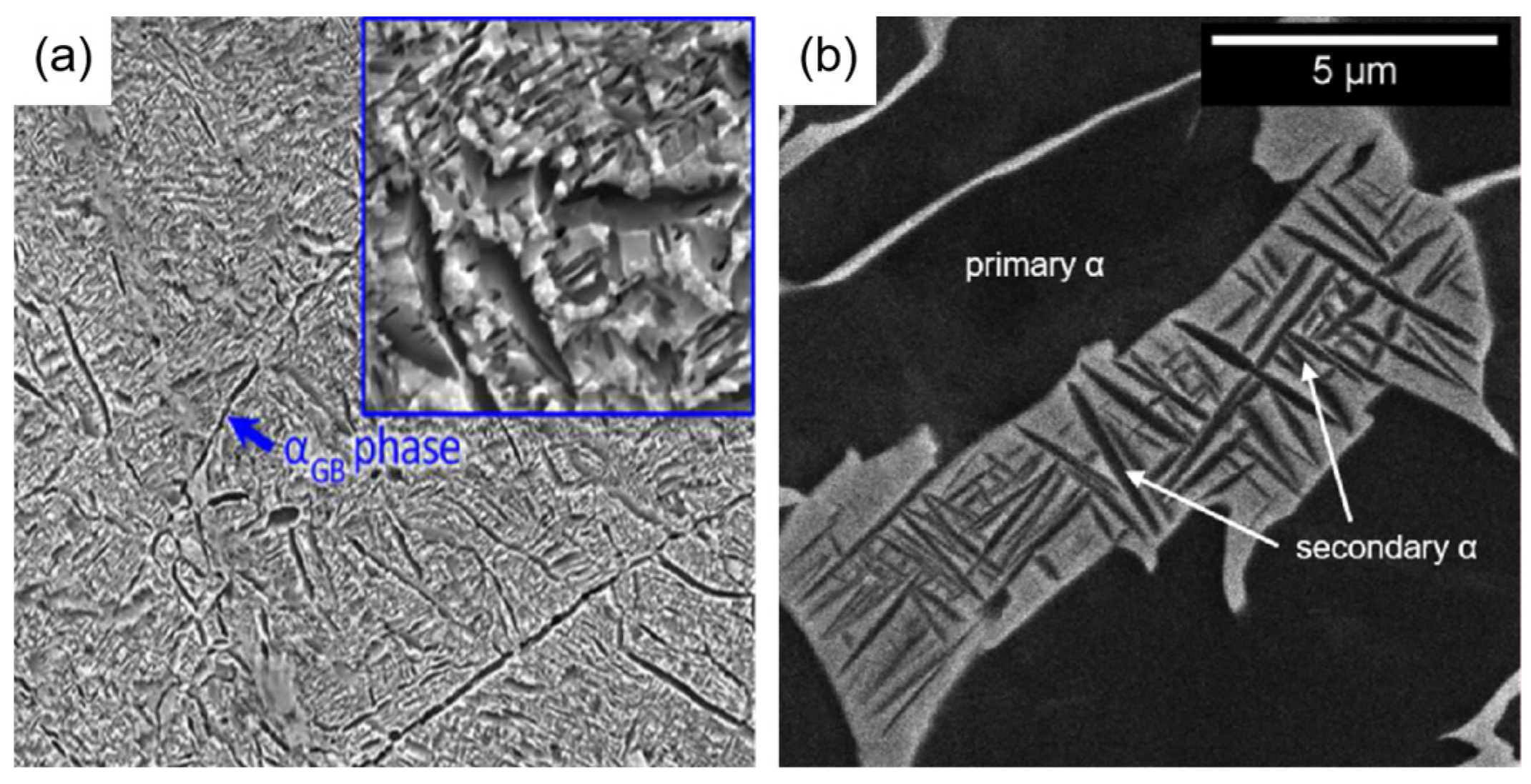 Coatings 14 00148 g002